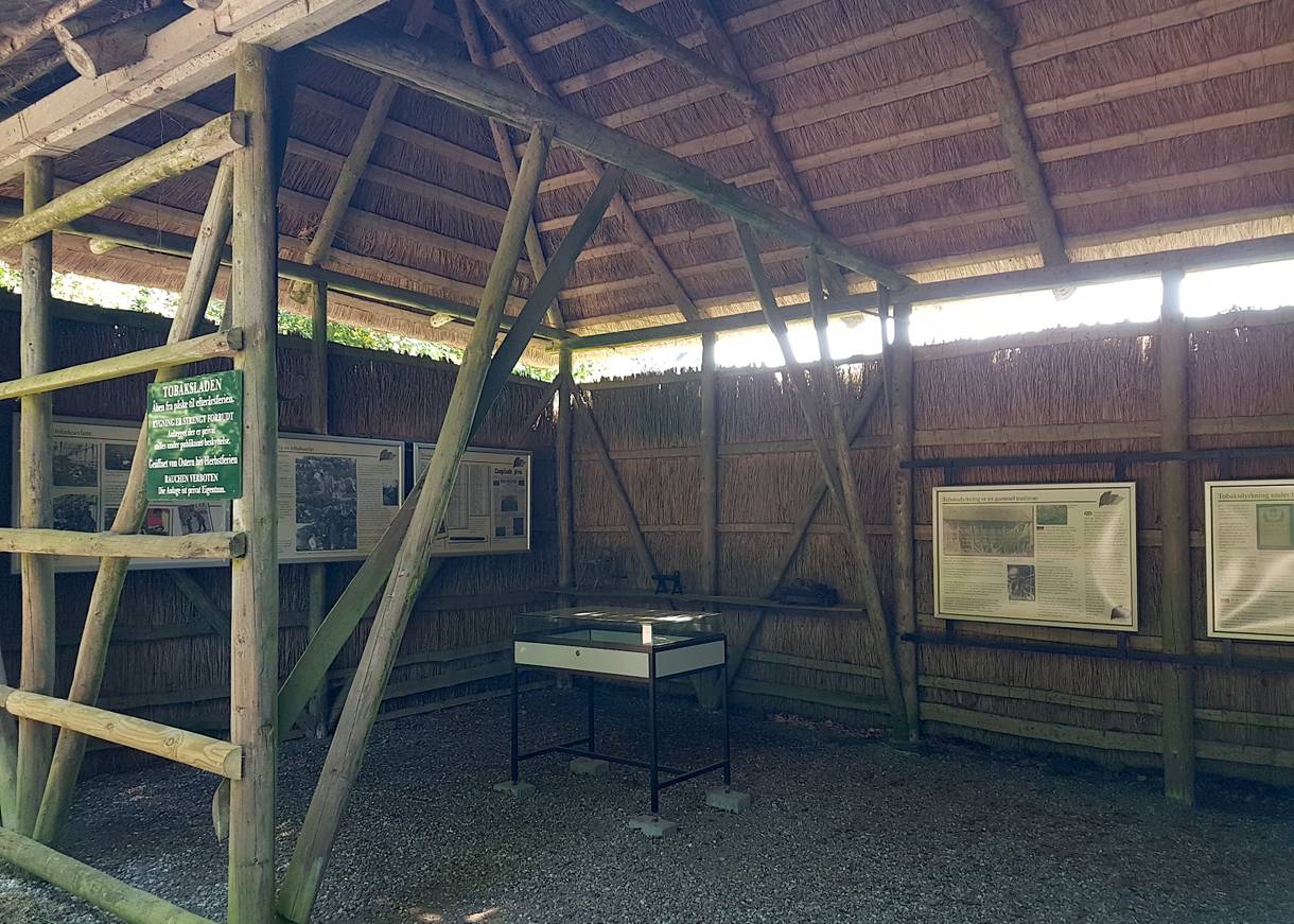 Offene Reetscheune mit einer Ausstellung an den Wänden