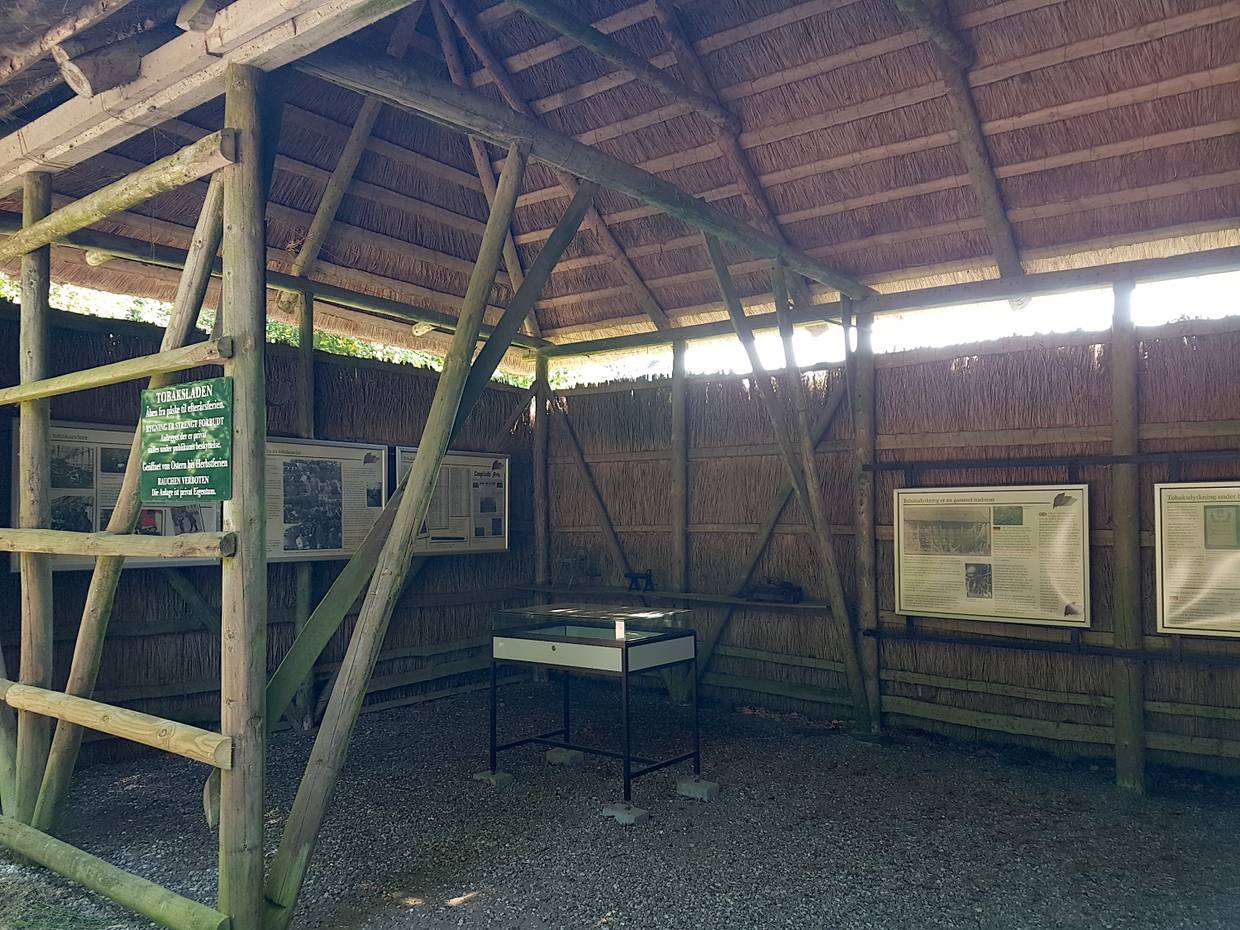 Offene Reetscheune mit einer Ausstellung an den Wänden