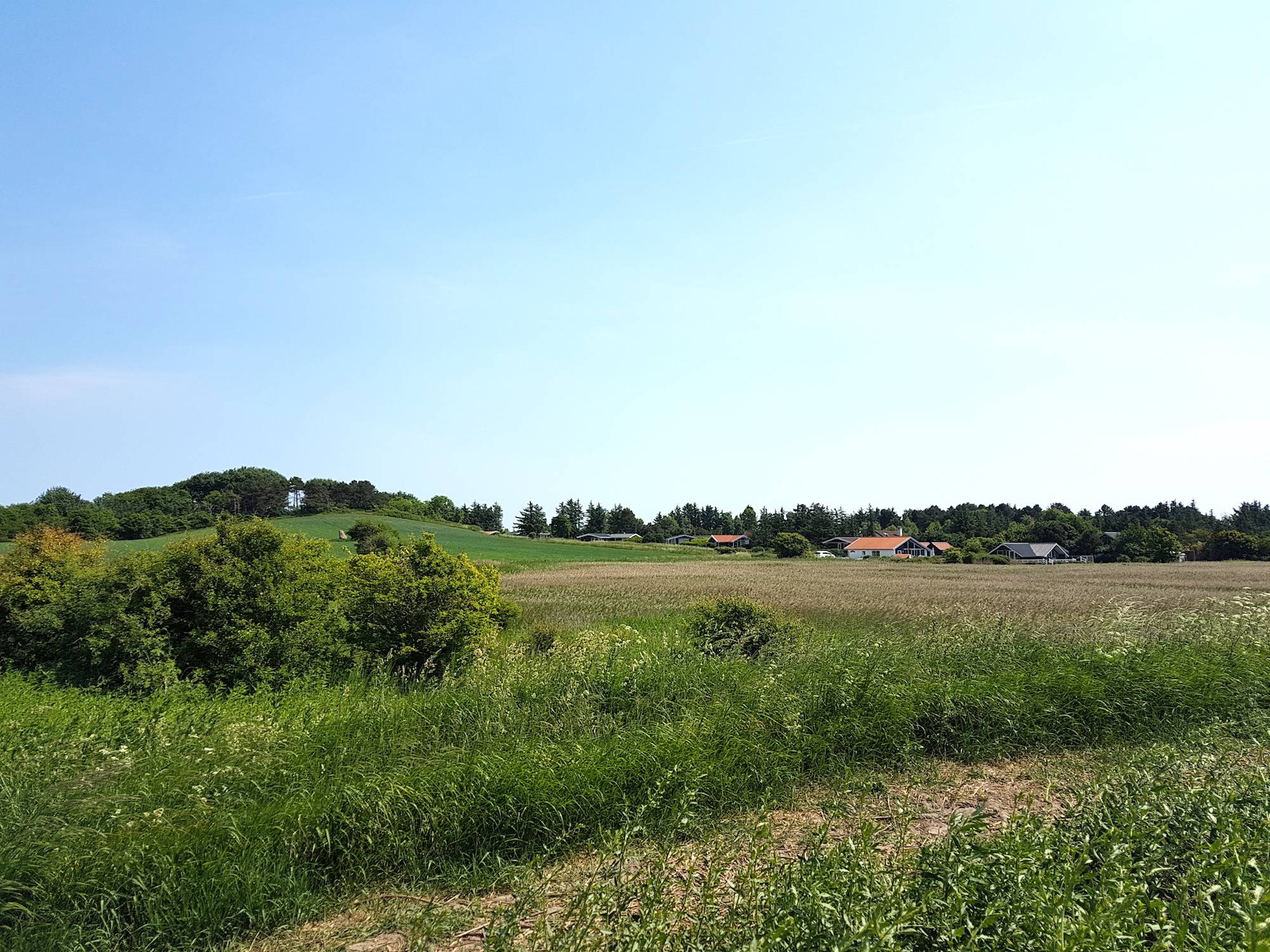 Hügelige Wiesen, dahinter Ferienhäuser