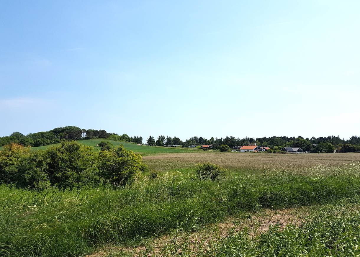 Hügelige Wiesen, dahinter Ferienhäuser