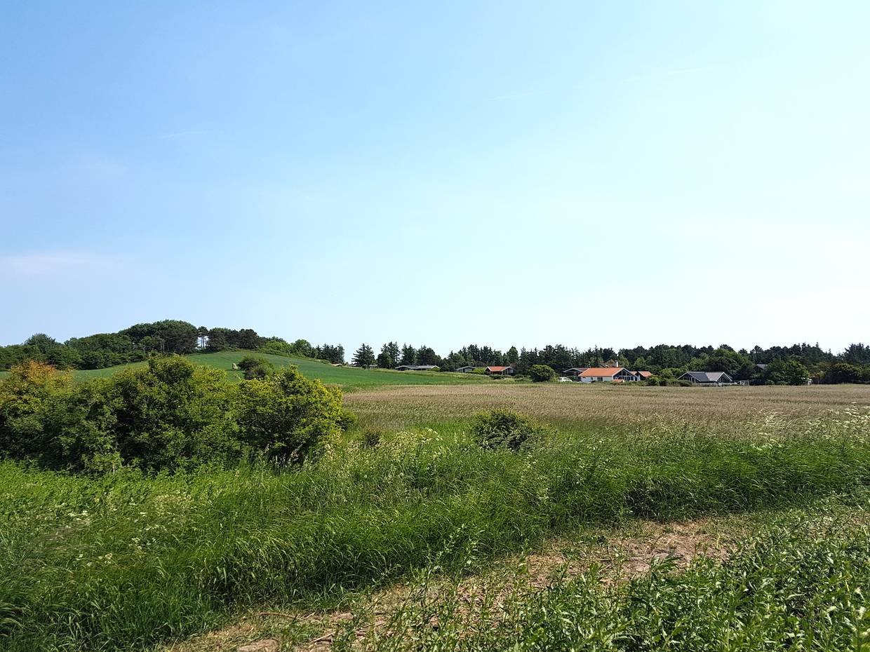 Hügelige Wiesen, dahinter Ferienhäuser
