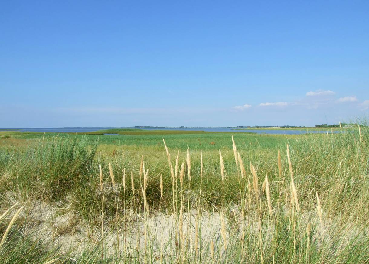 Block über flachen Sand mit Strandhafer auf eine Bucht