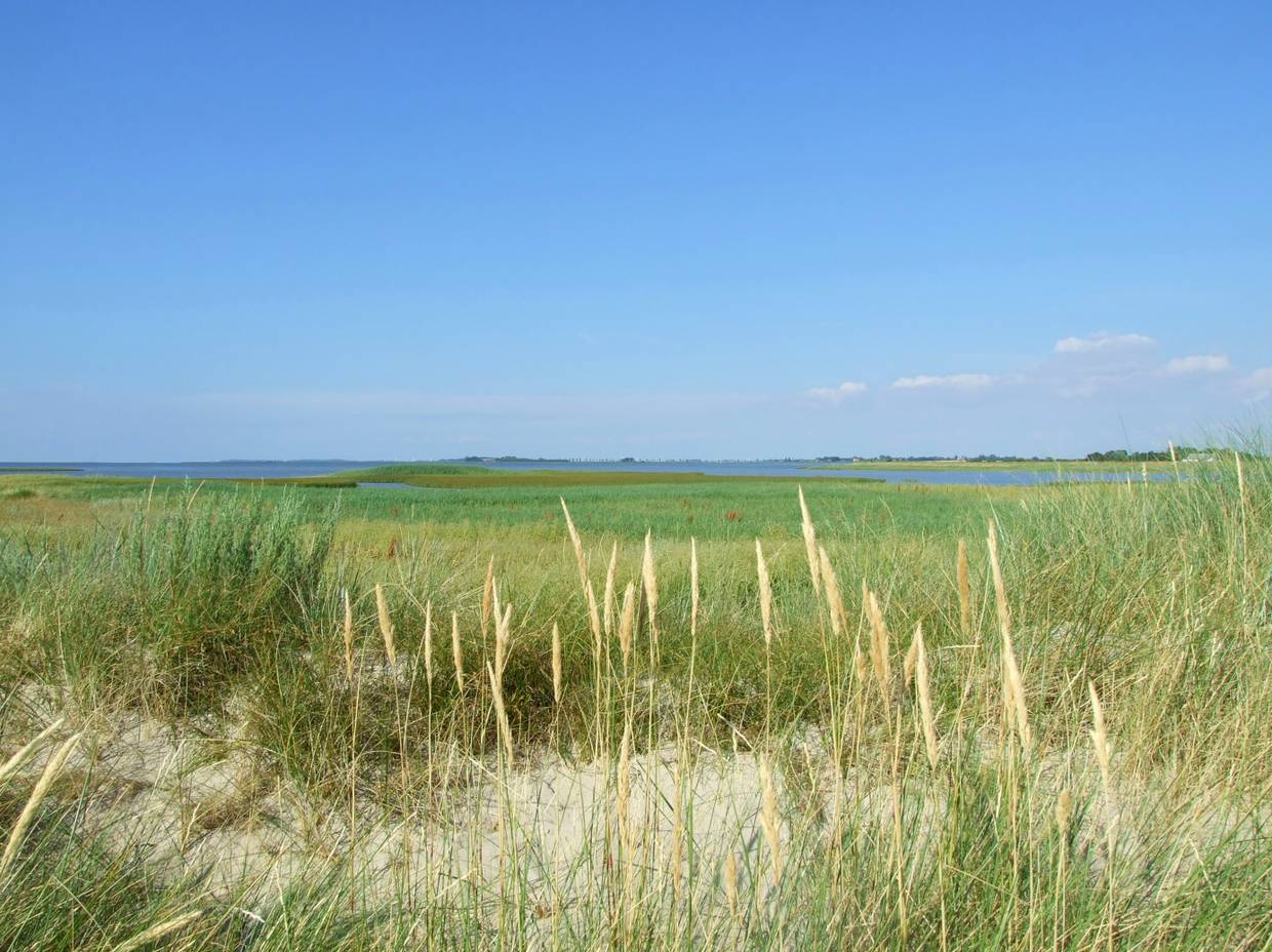 Block über flachen Sand mit Strandhafer auf eine Bucht