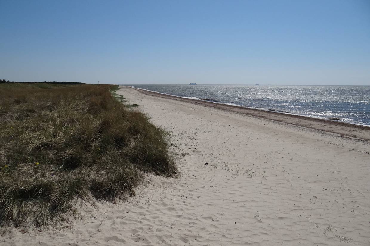 Foto von Bredfjed Strand