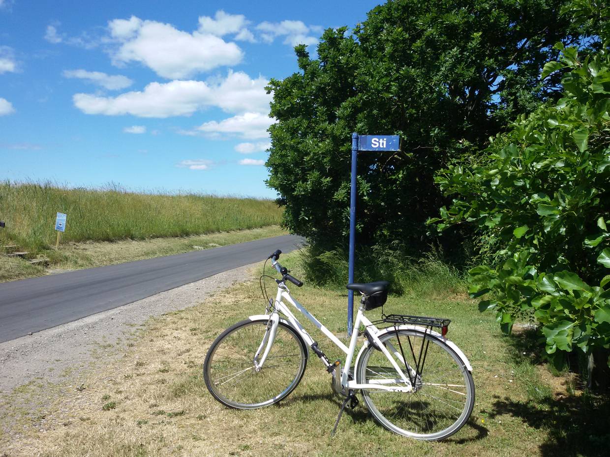 Abgestelltes Fahrrad am Radweg hinter dem Deich