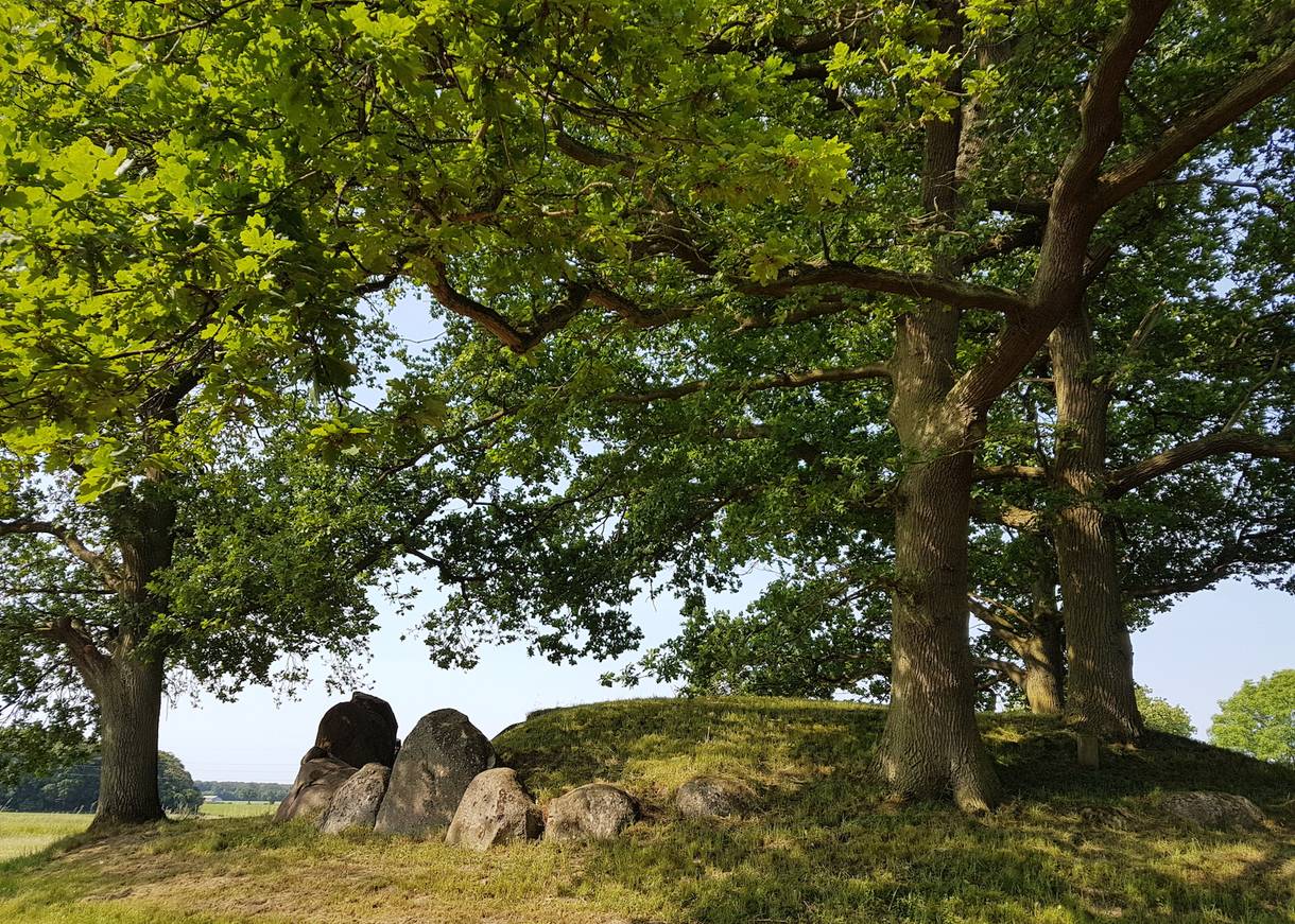 Grabhügel mit Granitfelsen und großen Eichen