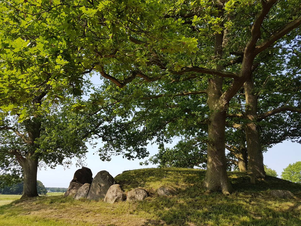 Grabhügel mit Granitfelsen und großen Eichen