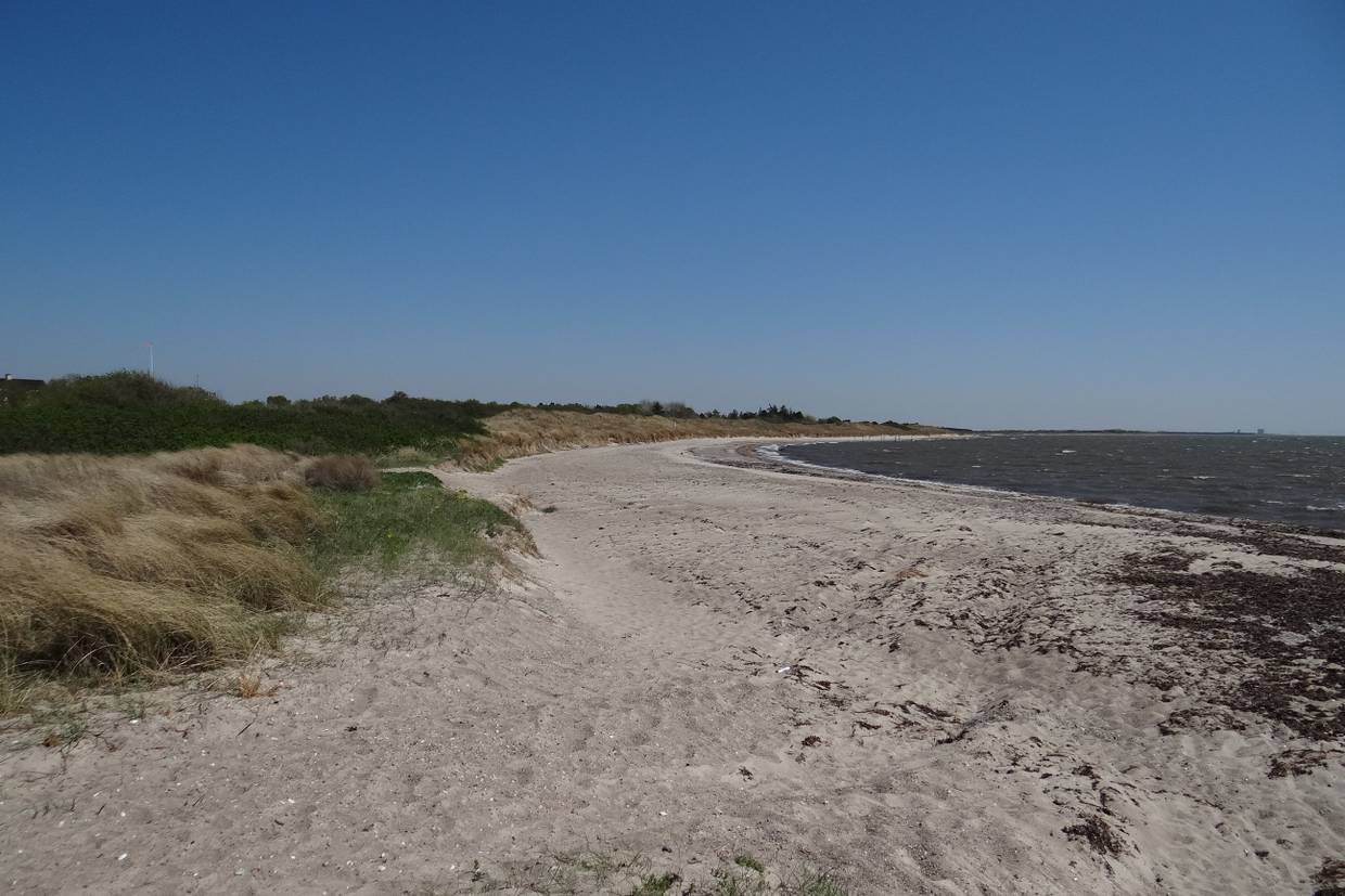 Foto von Kramnitse Strand