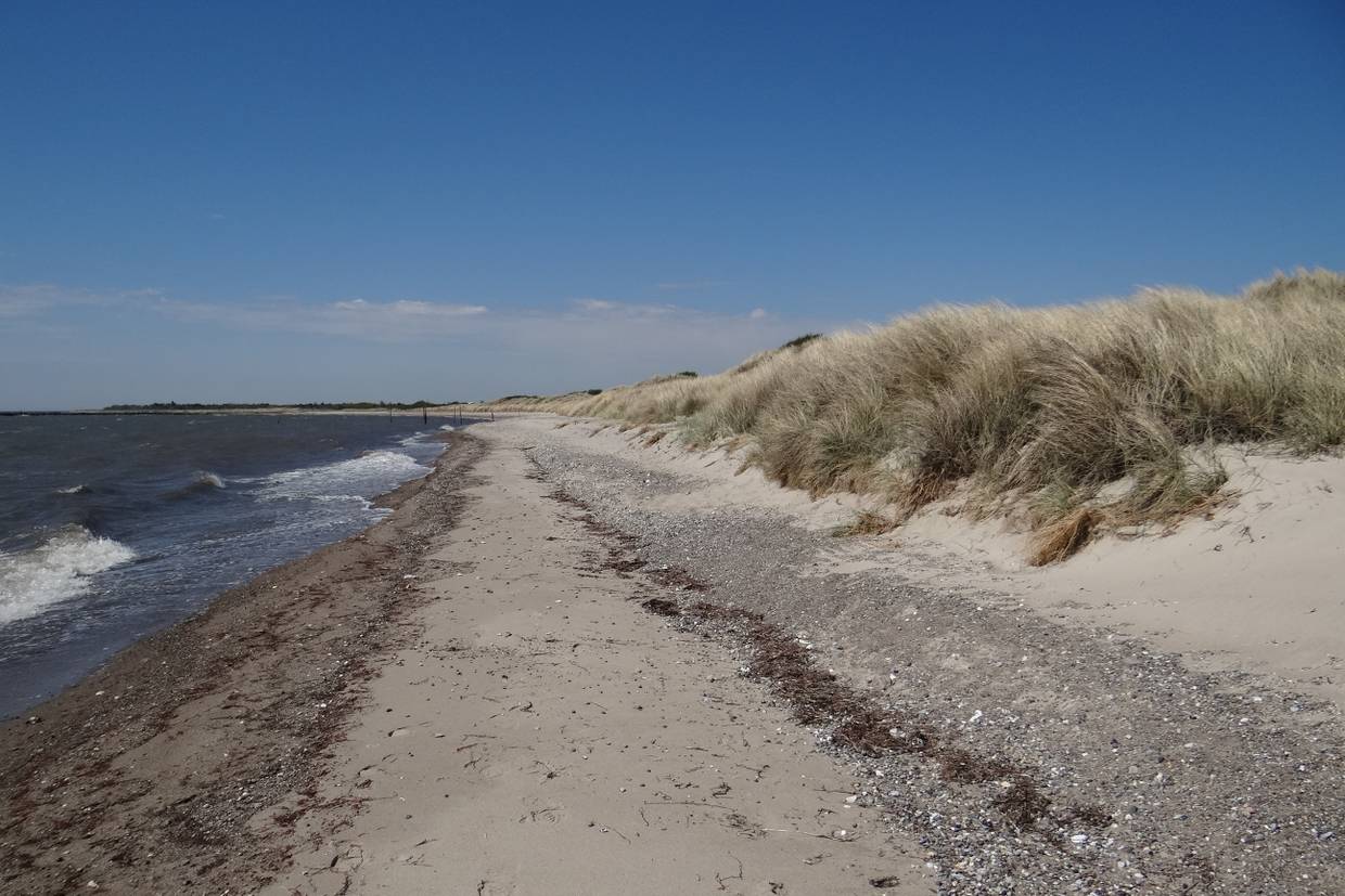 Foto von Kramnitse Strand