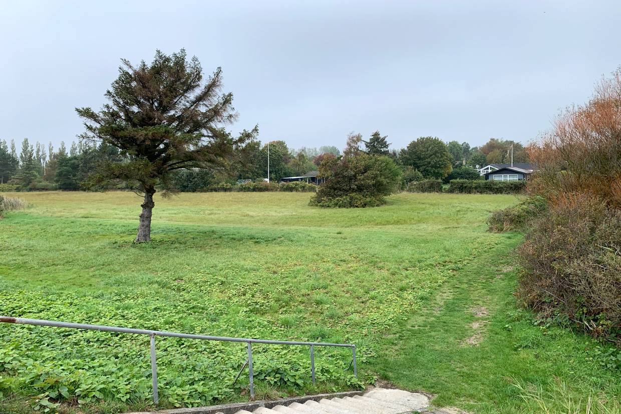 Foto von Maglehøj (Stødby) Strand
