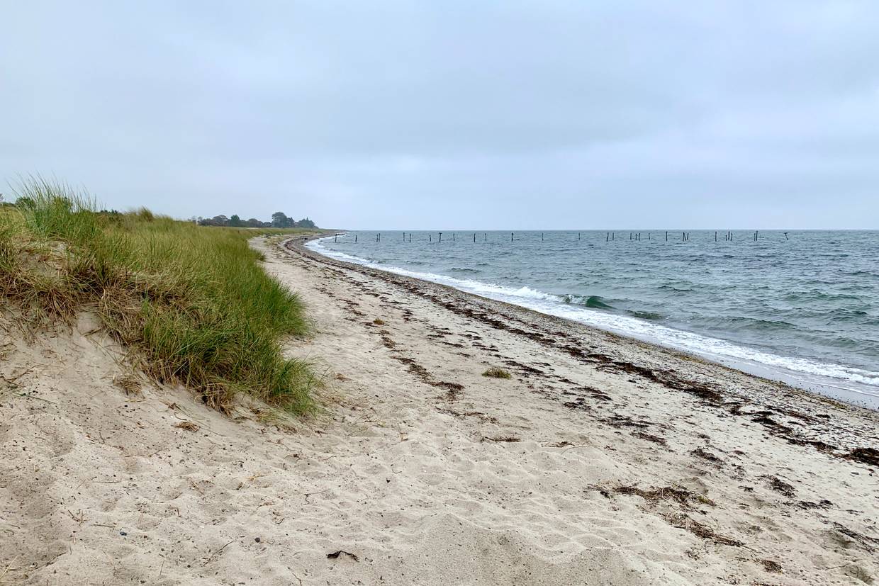 Foto von Maglehøj (Stødby) Strand
