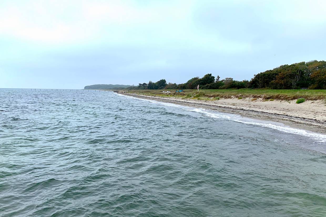 Foto von Maglehøj (Stødby) Strand