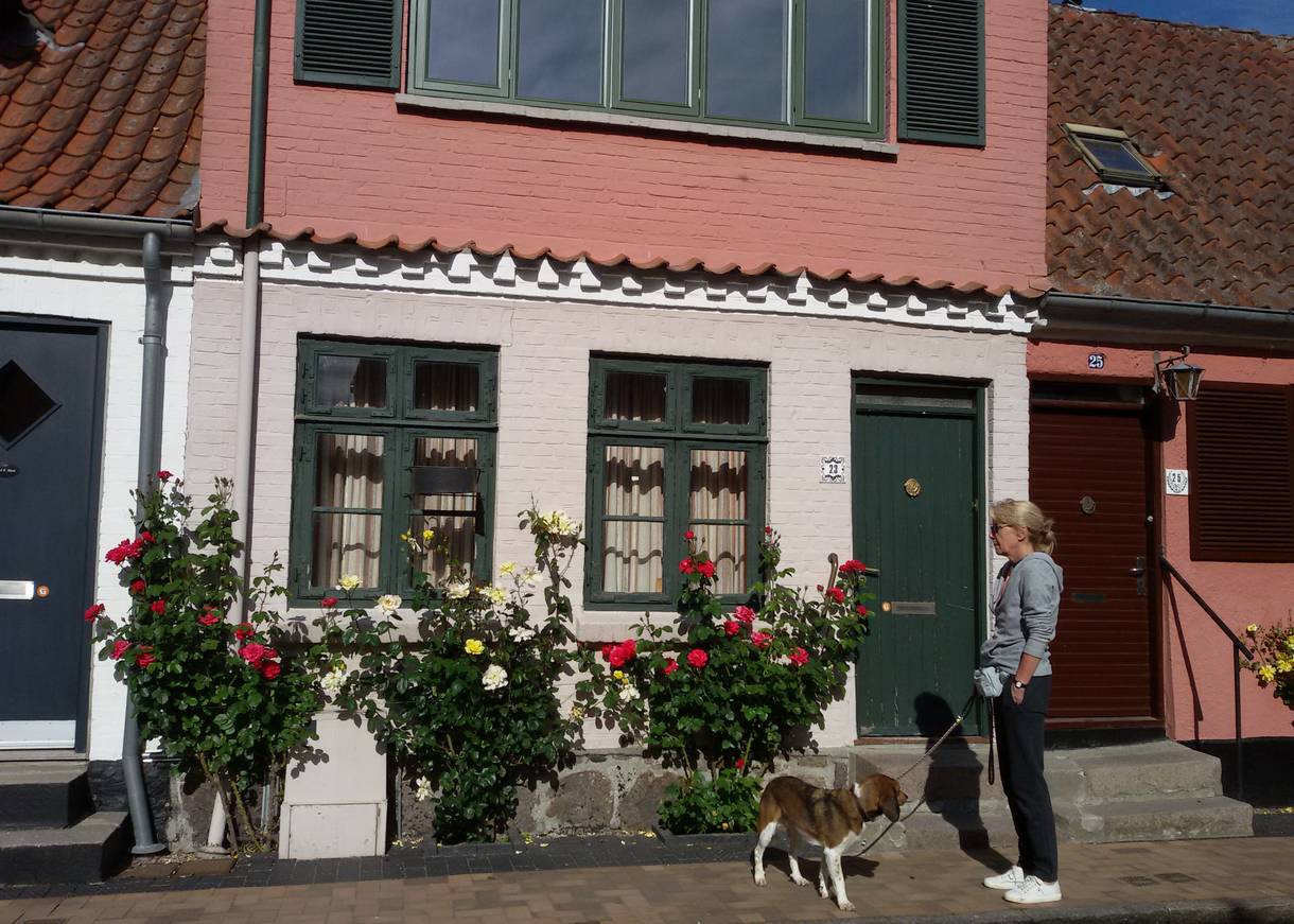 Farbige Stadthäuser mit Rosenranken
