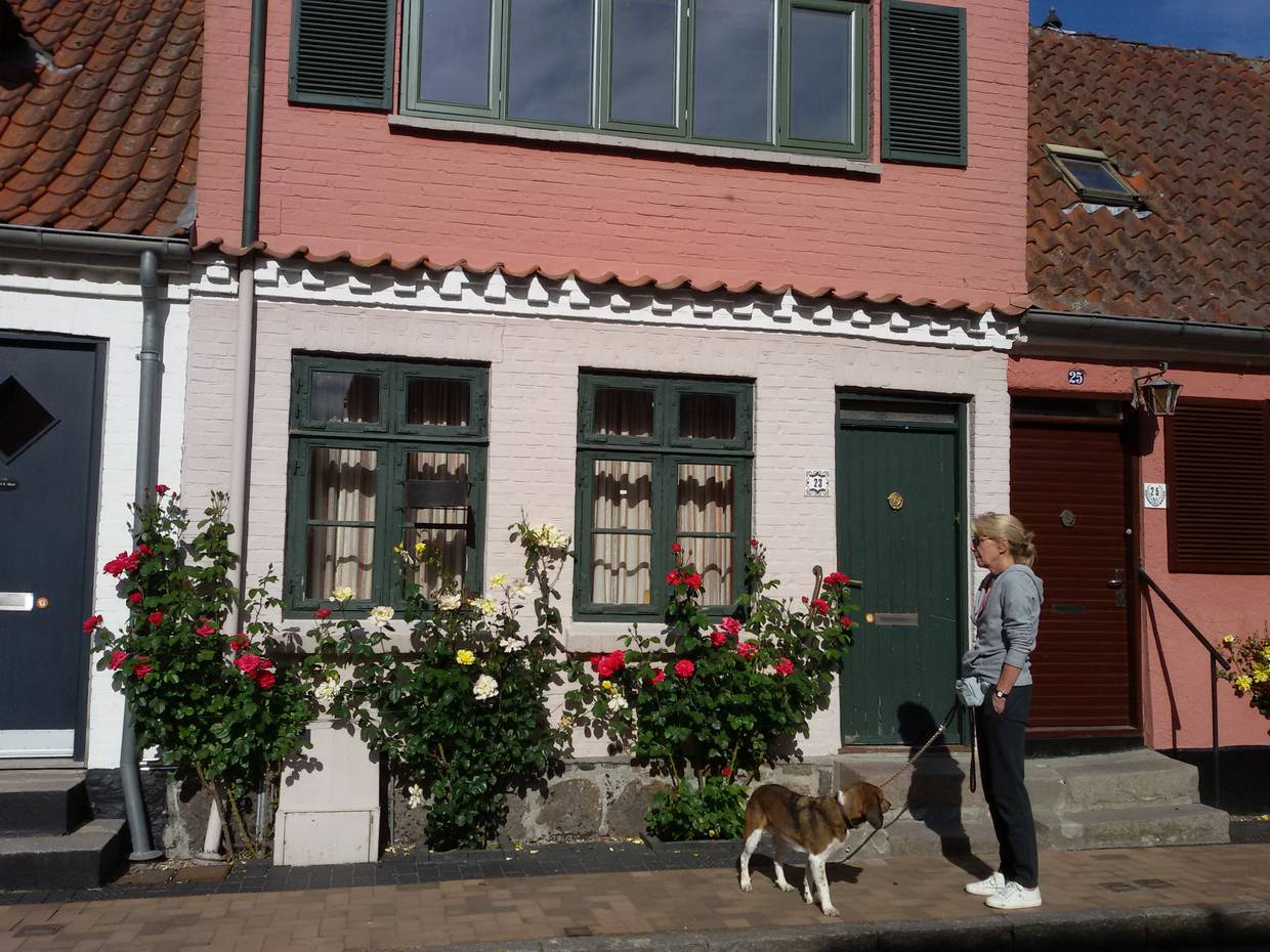 Farbige Stadthäuser mit Rosenranken