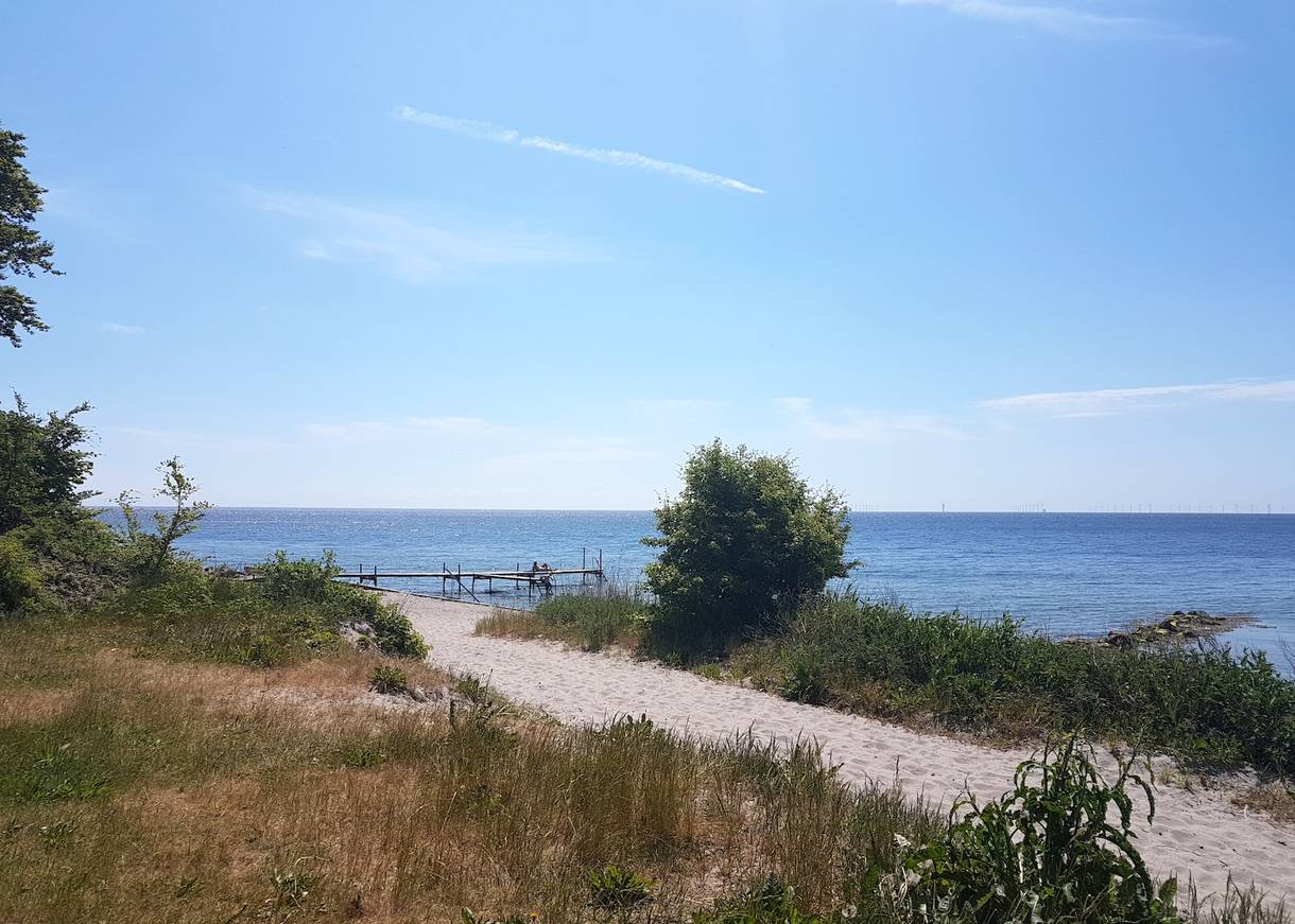 Strandwiesen und ein Badesteg ins flache Wasser