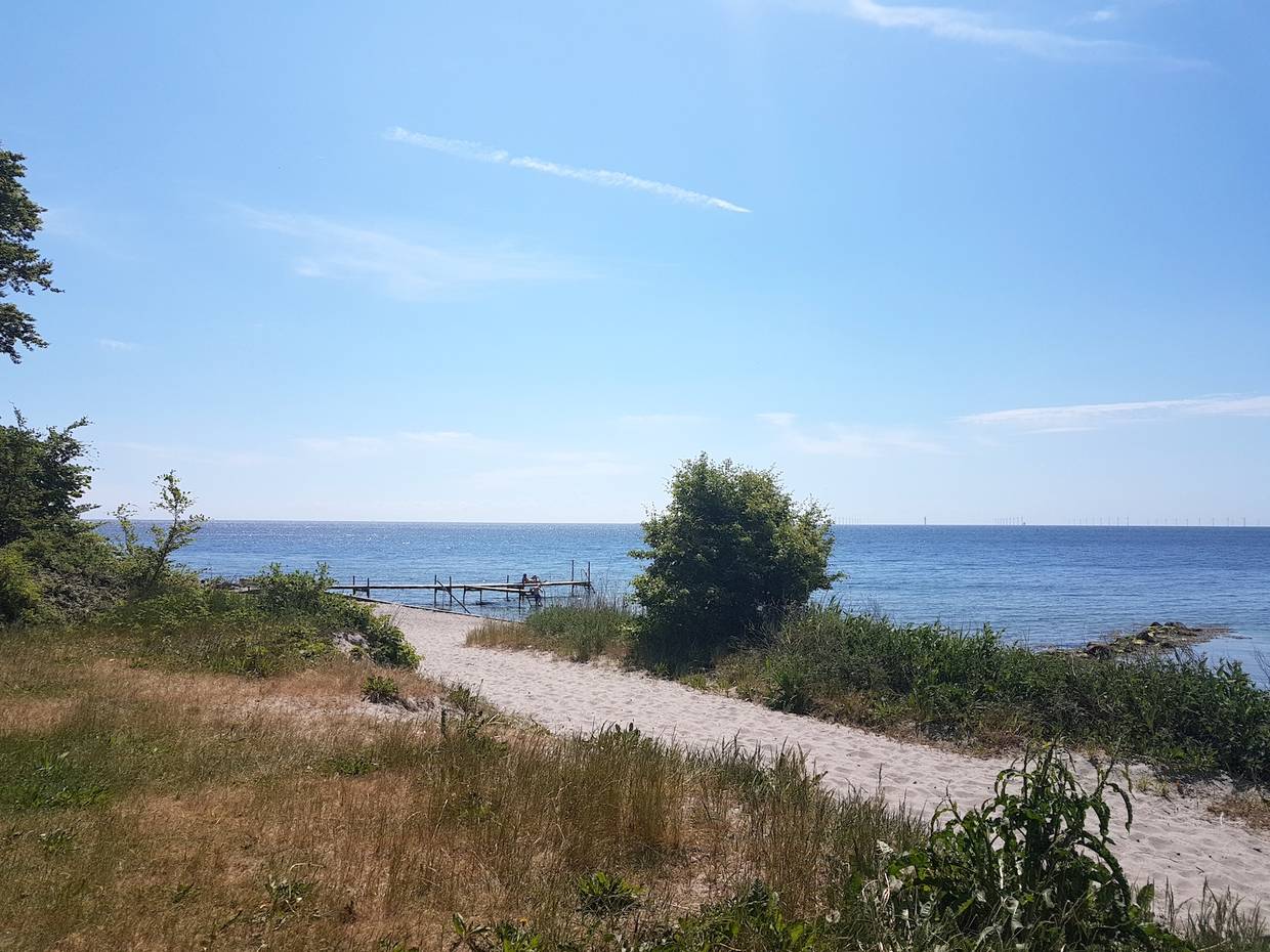 Strandwiesen und ein Badesteg ins flache Wasser