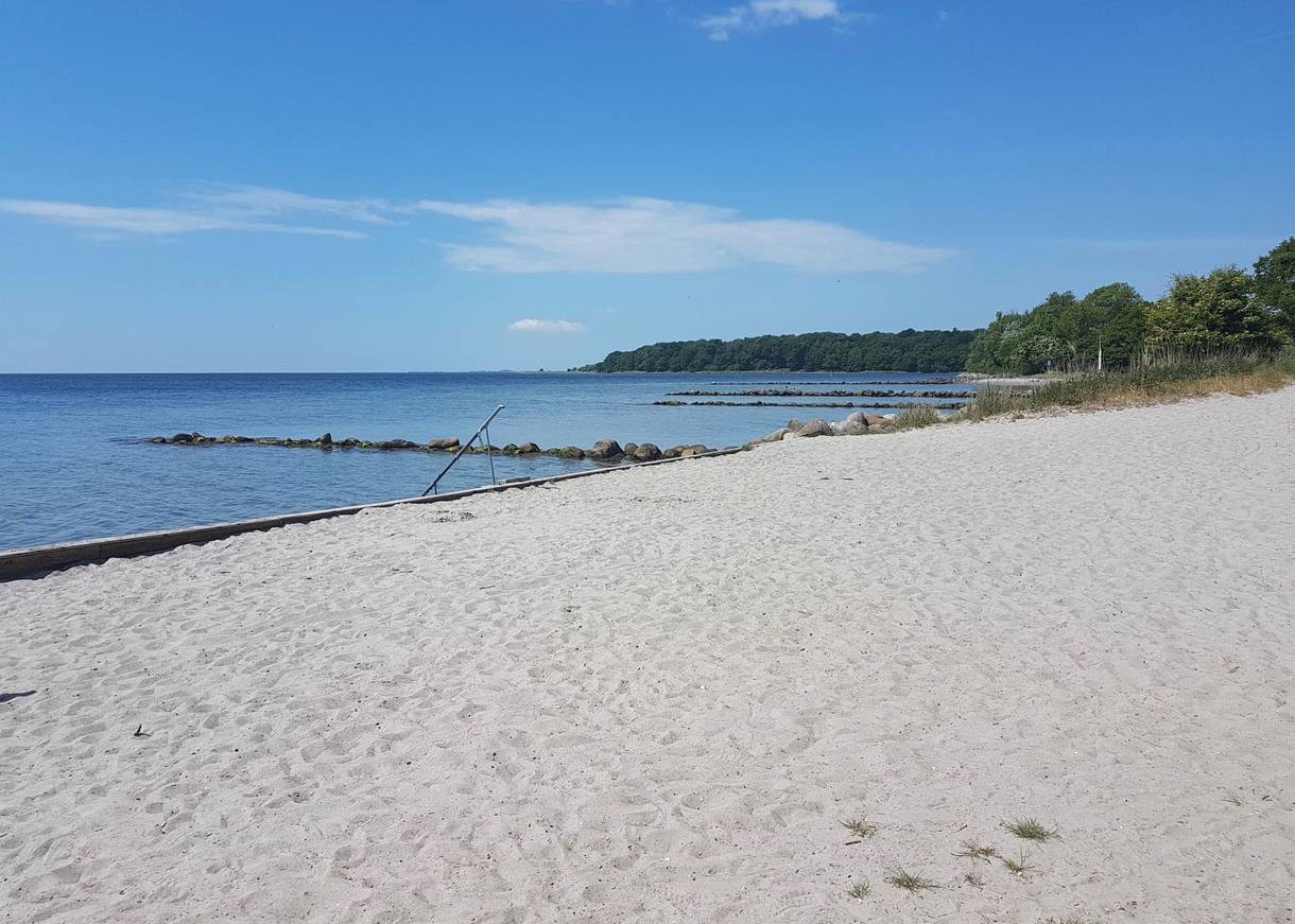 Sandstrand mit einem Badesteg, im Hintergrund Wald