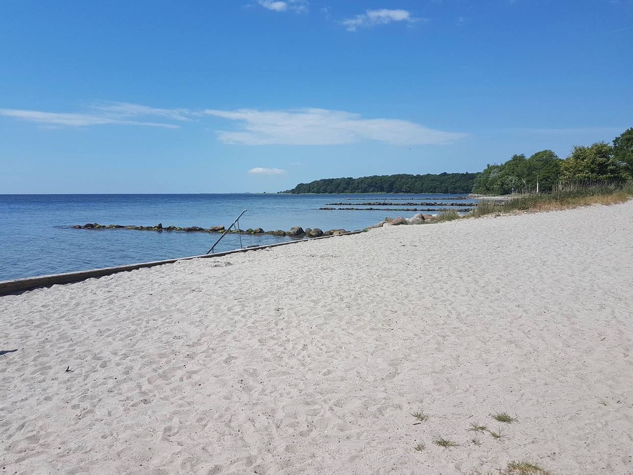 Sandstrand mit einem Badesteg, im Hintergrund Wald