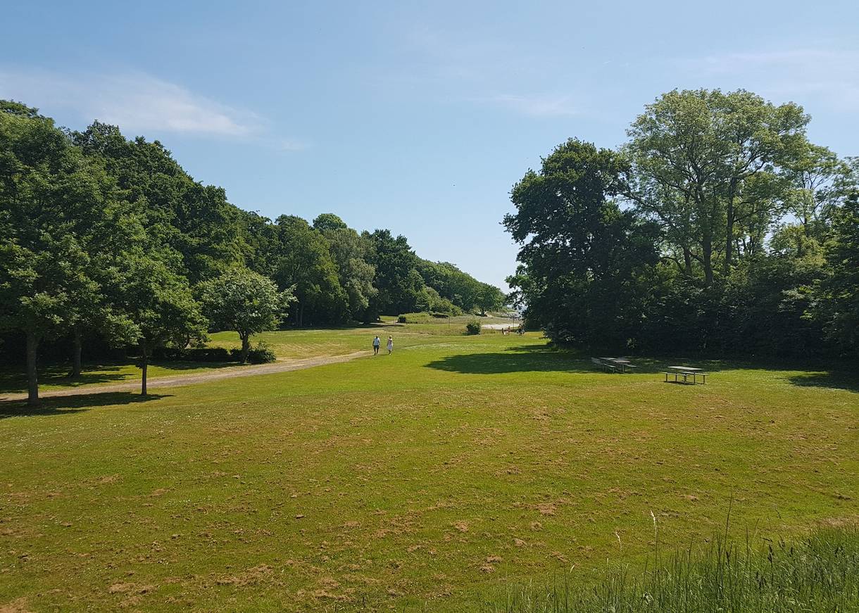 Wiesen und Laubbäume am Strandpark Nysted