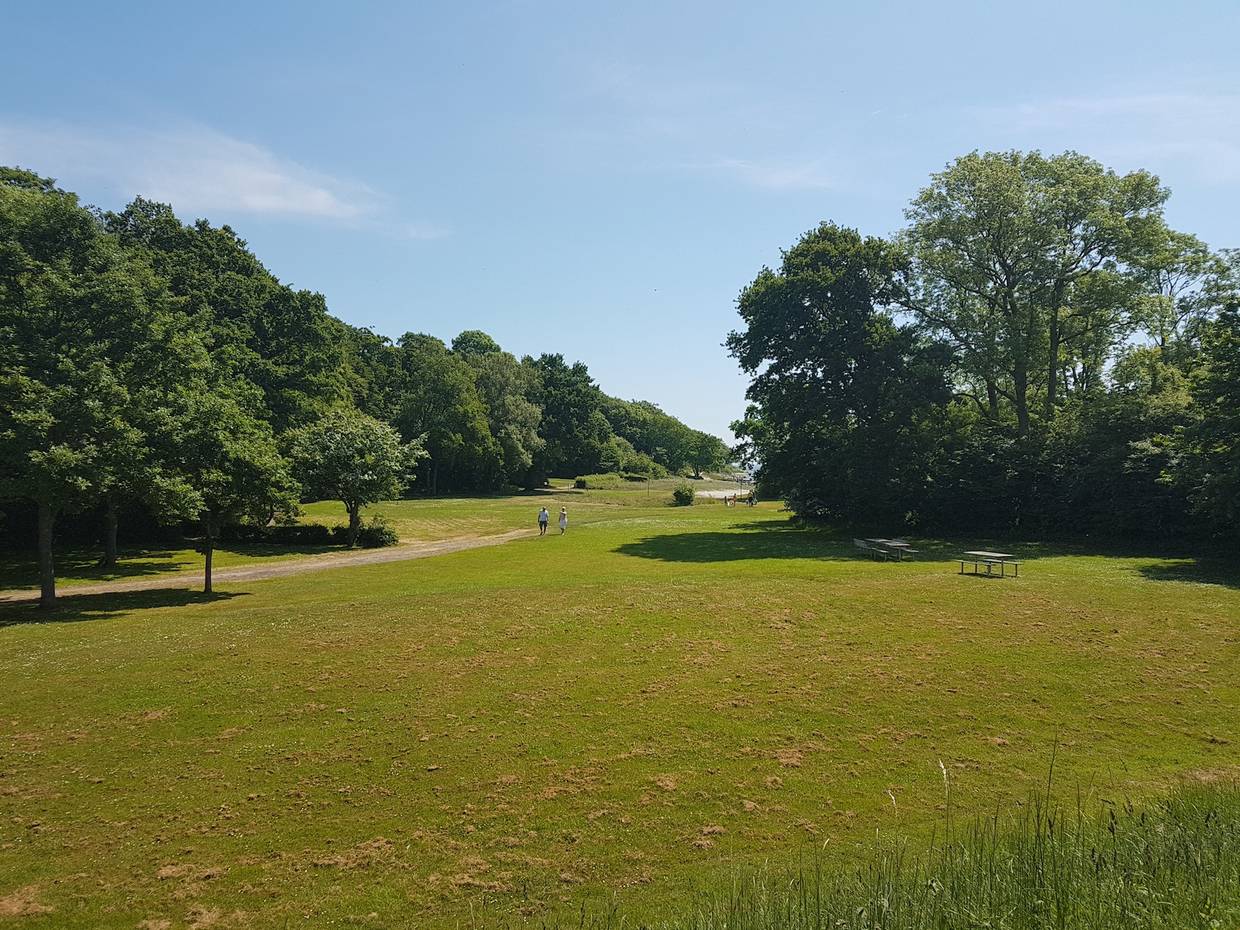 Wiesen und Laubbäume am Strandpark Nysted