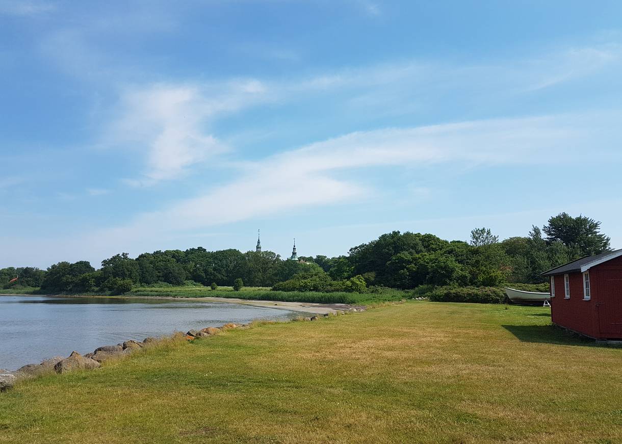 Wiese am Fjord, hinter dem angrenzenden Wald die Spitze eines Schlosses
