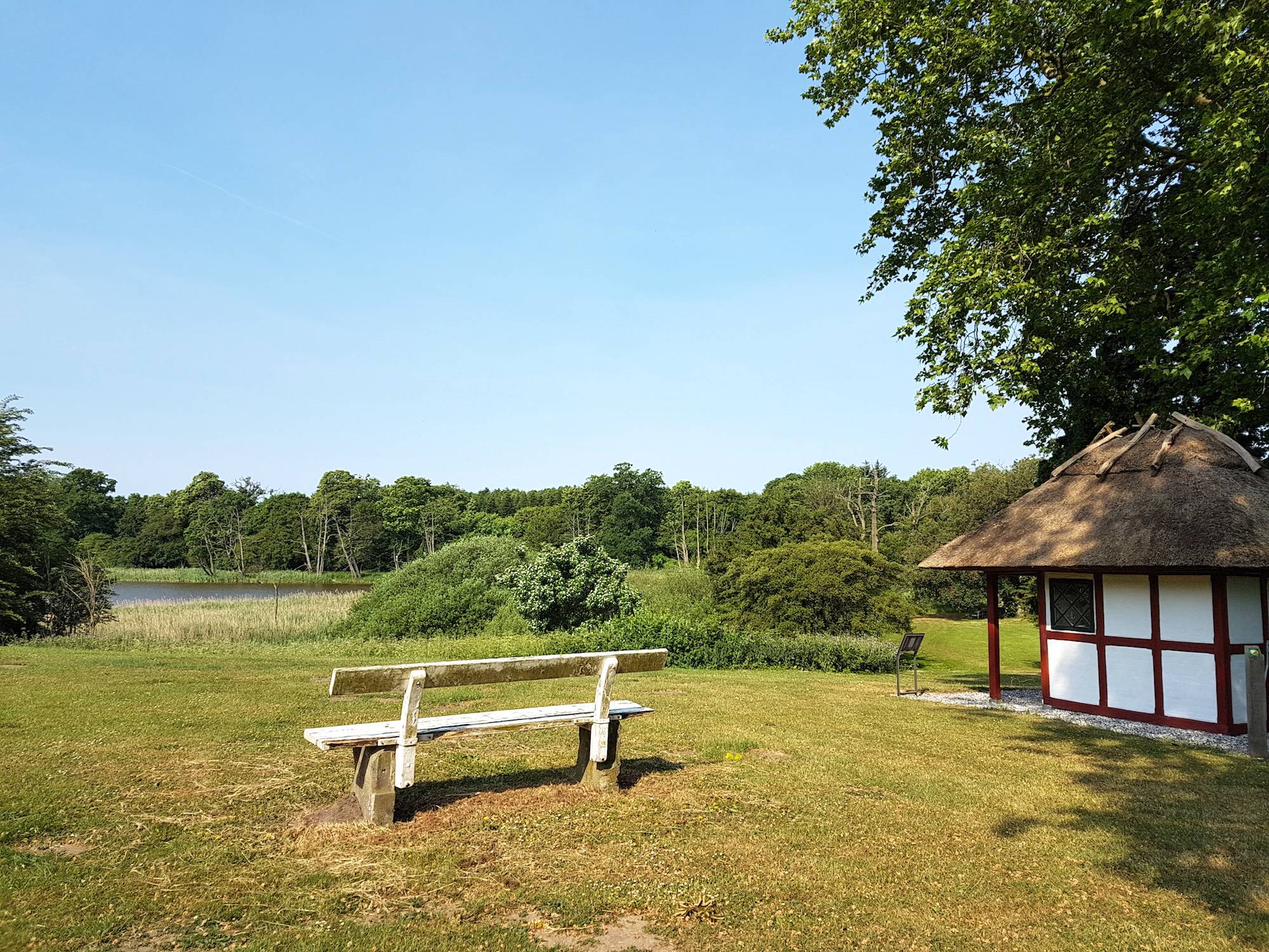 Holzbank an einem See 