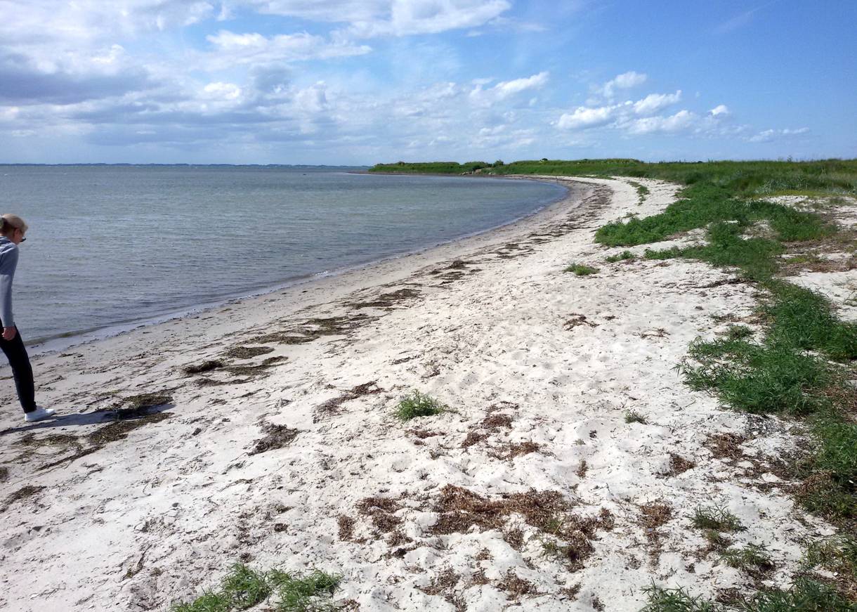 Langer, schmaler Strand mit etwas Seetang