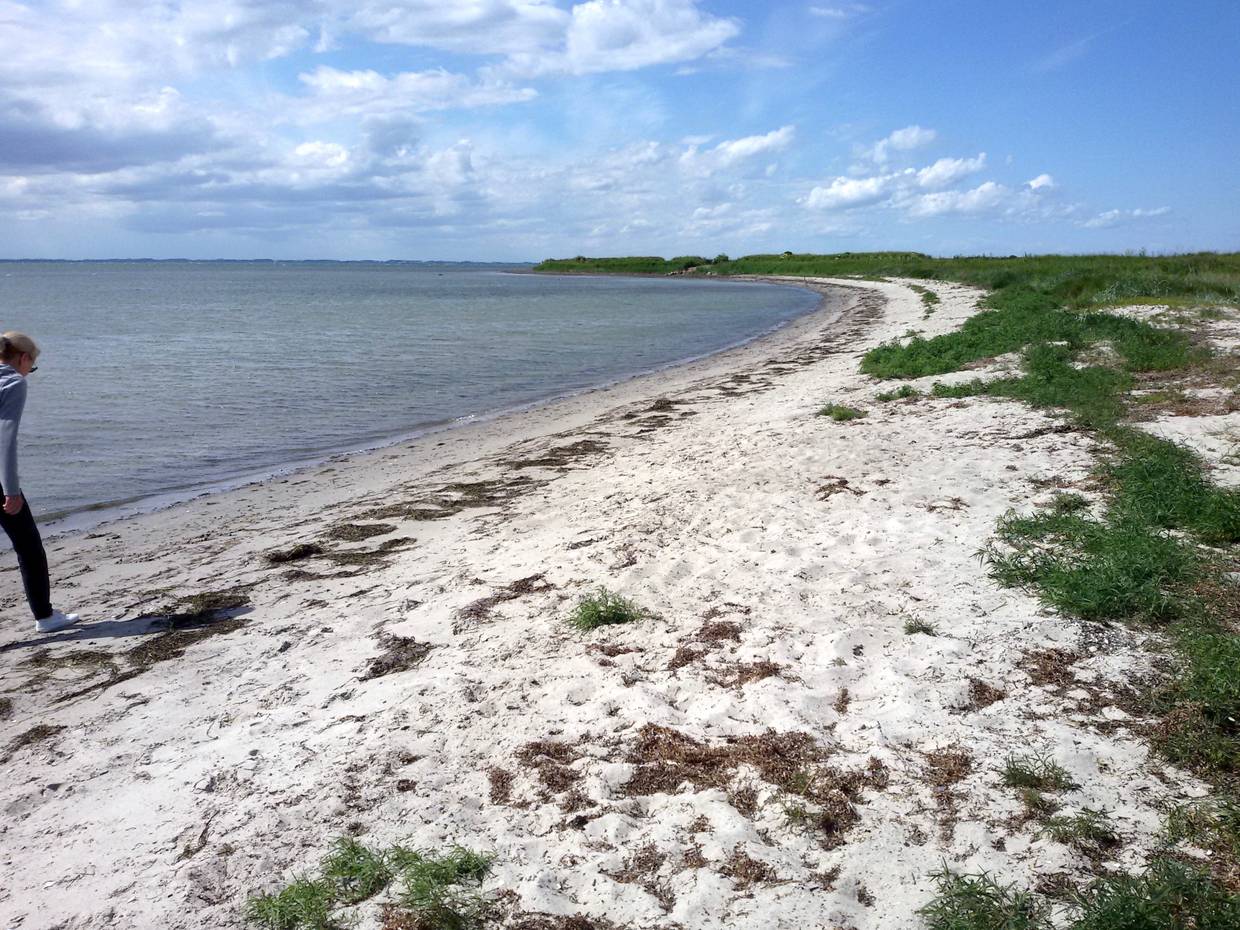 Langer, schmaler Strand mit etwas Seetang