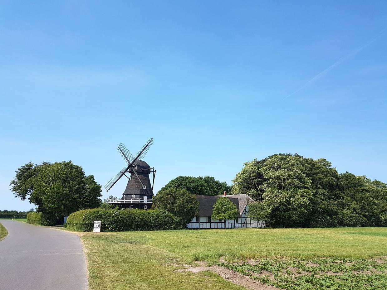 Windmühle und ein Fachwerkhaus zwischen Laubbäumen
