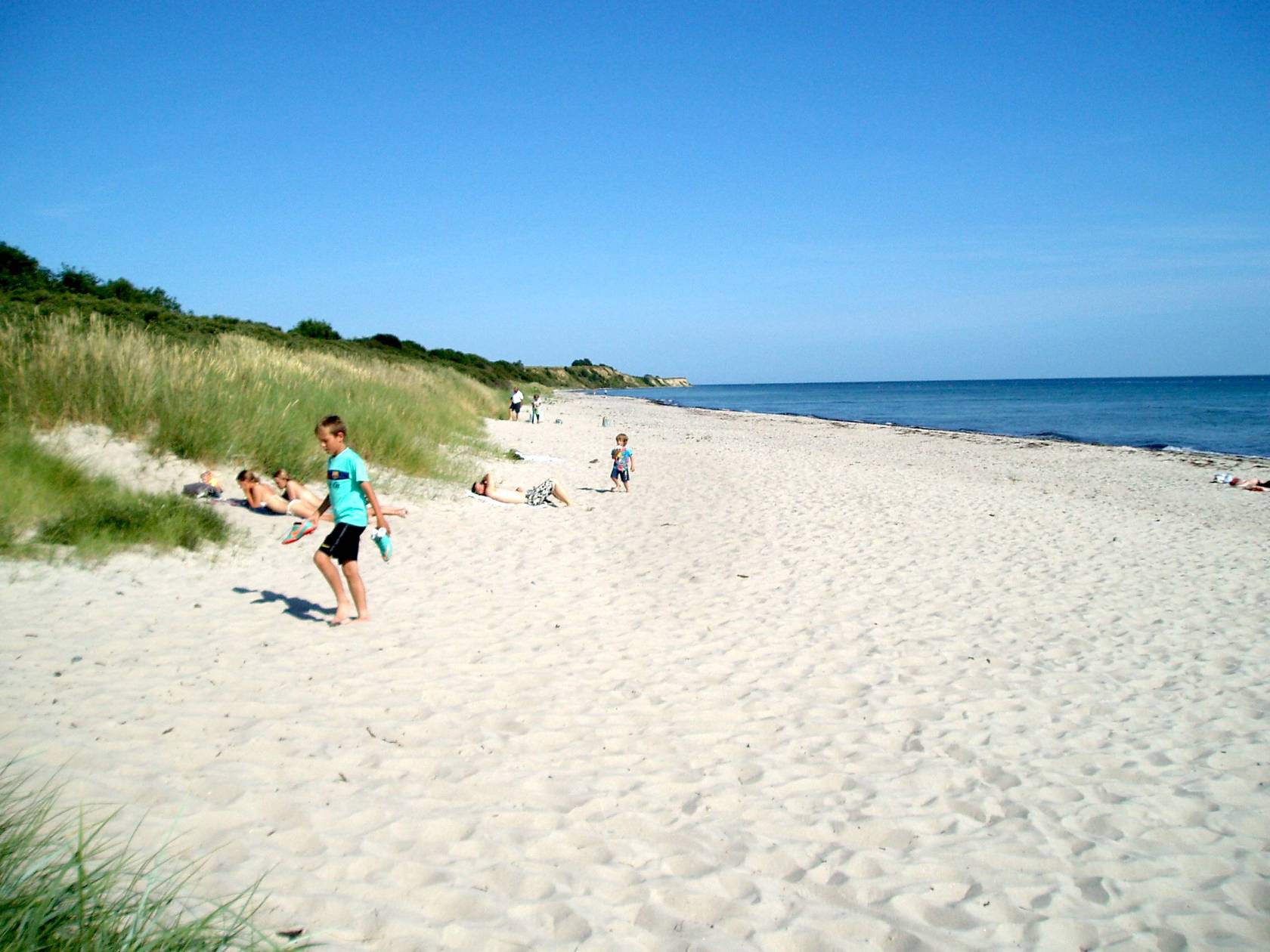 ferienhaus-urlaub-auf-m-n-in-d-nemark