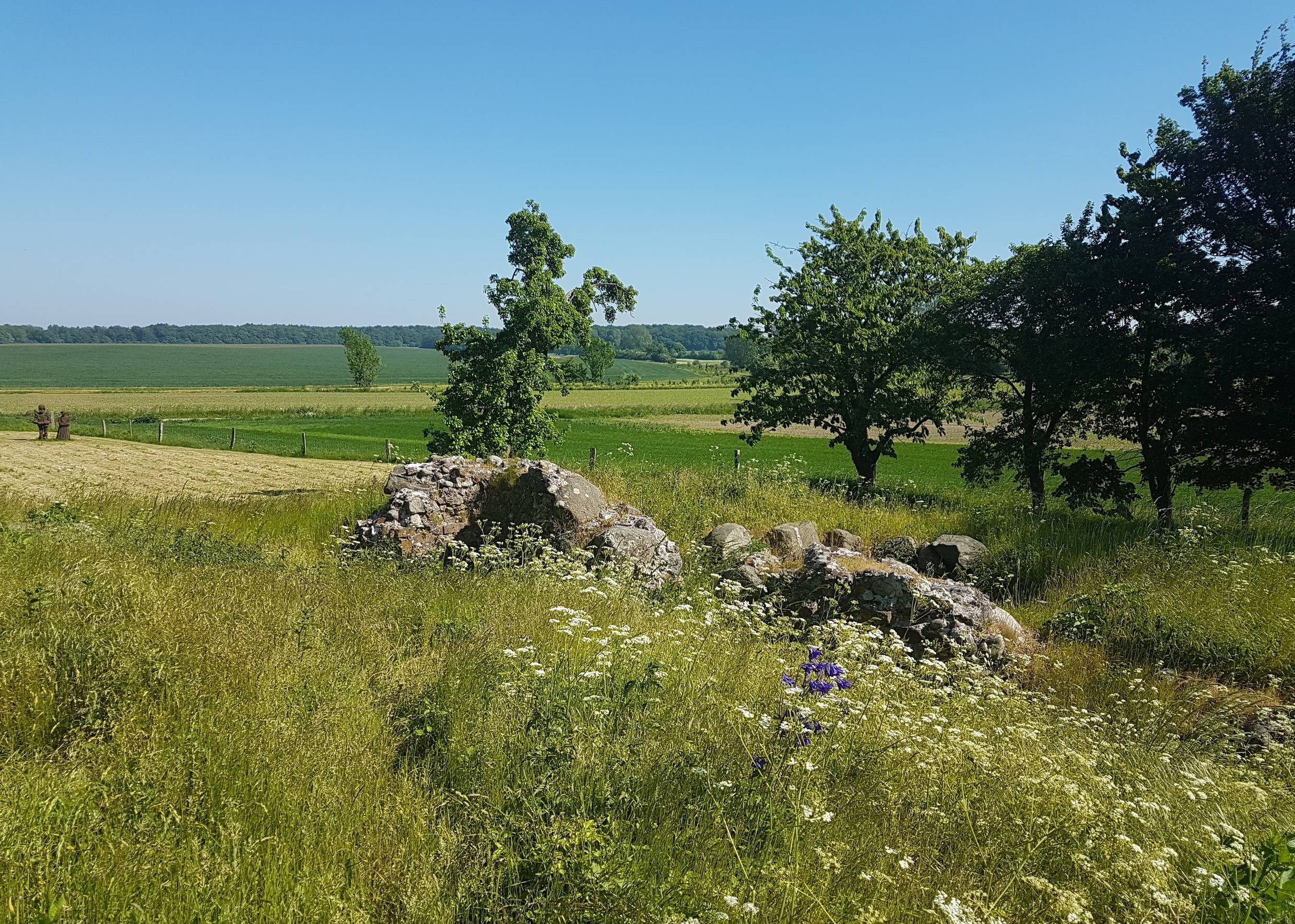 Blühende Wiese mit ein par alten Mauerresten