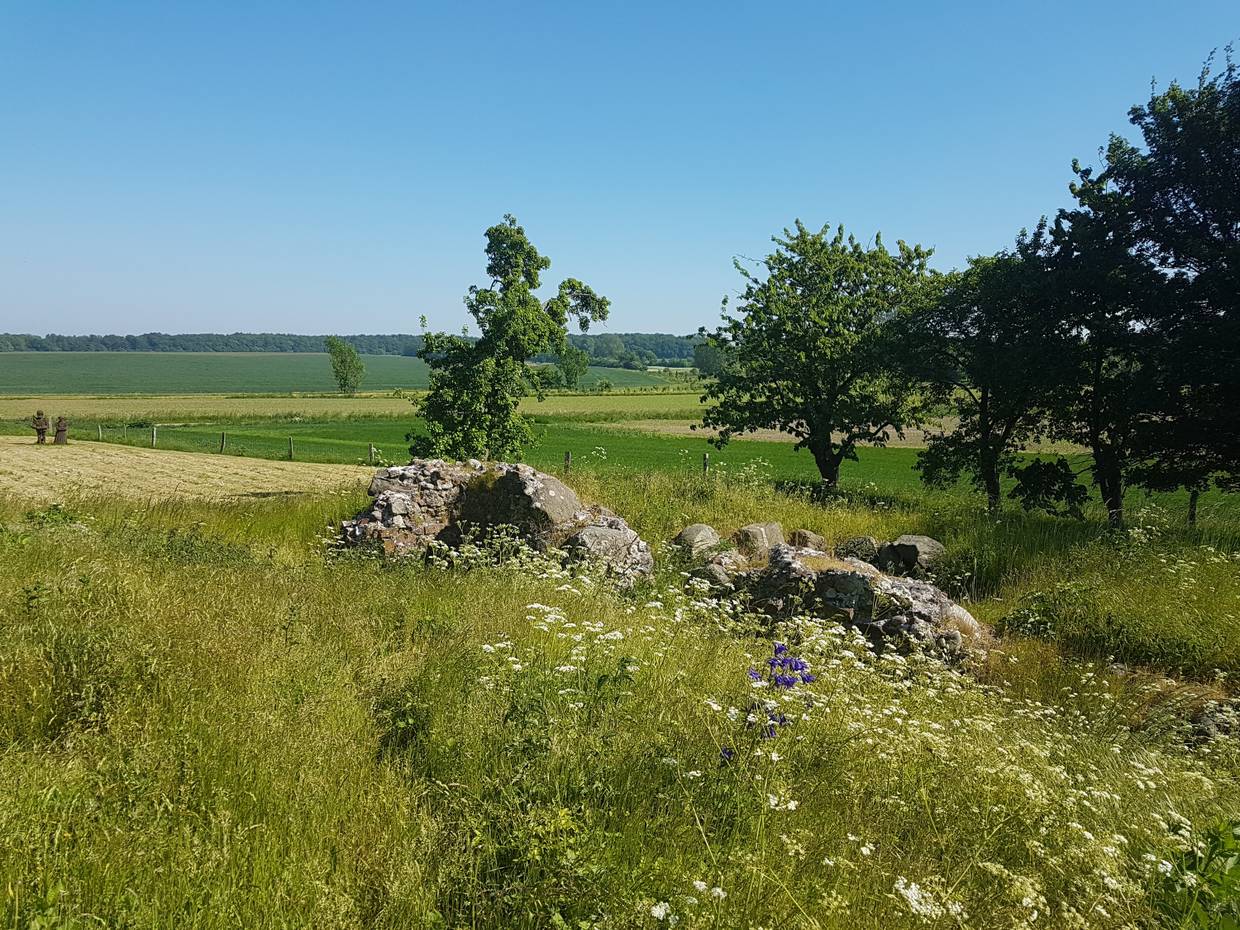 Blühende Wiese mit ein par alten Mauerresten