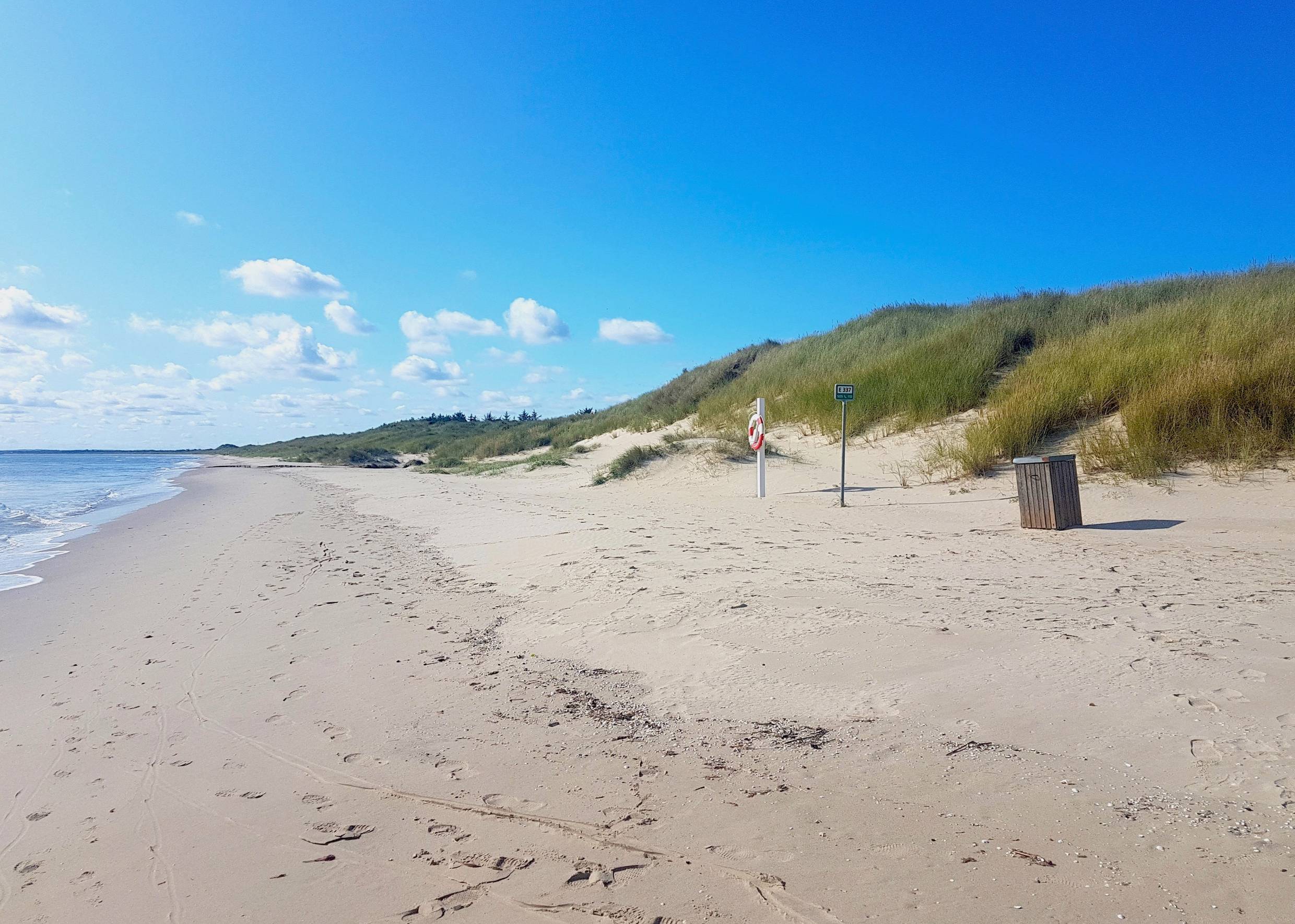 Blick über einen feinen Ostseestrand vor einer Düne mit Strandhafer