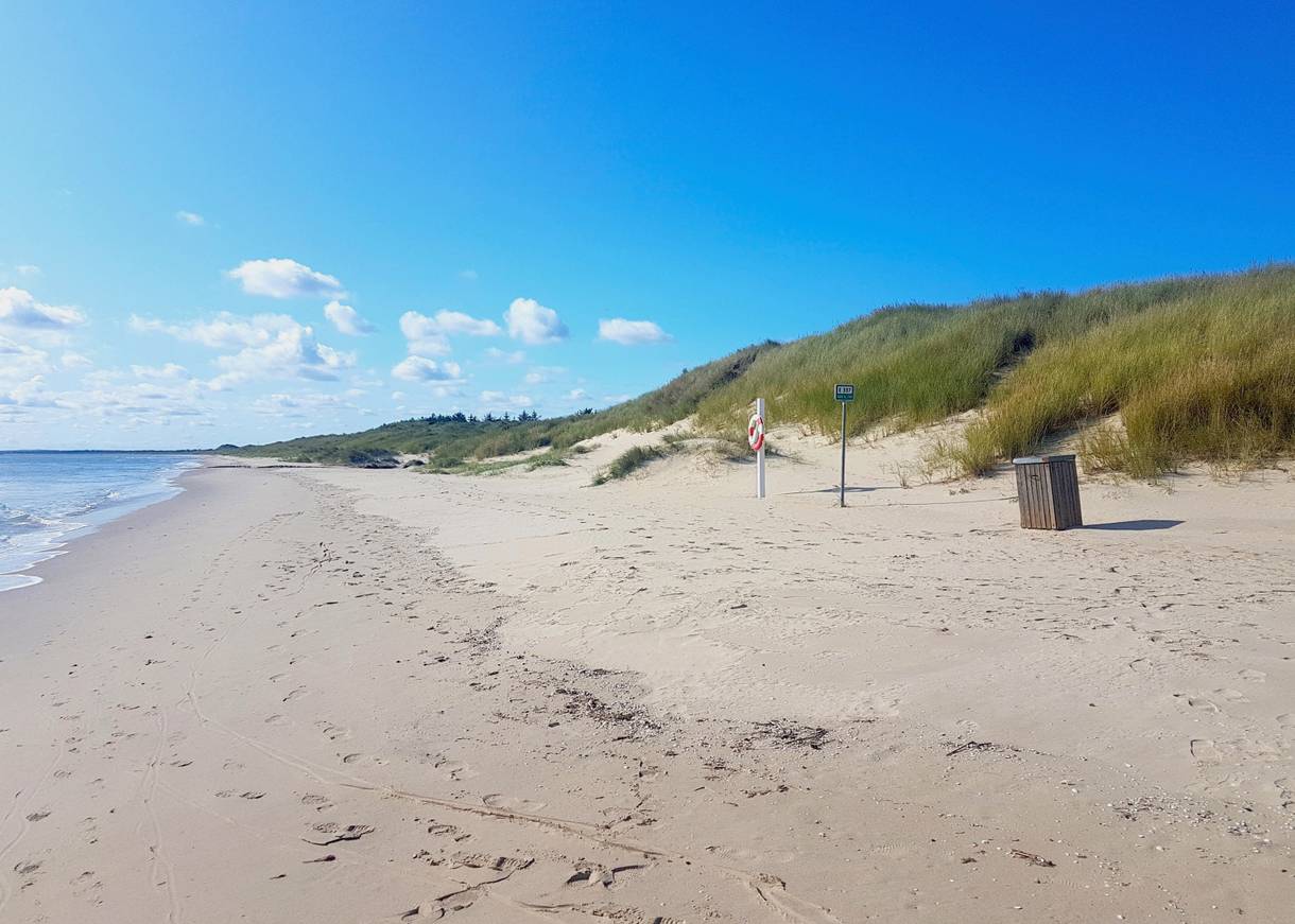 Blick über einen feinen Ostseestrand vor einer Düne mit Strandhafer
