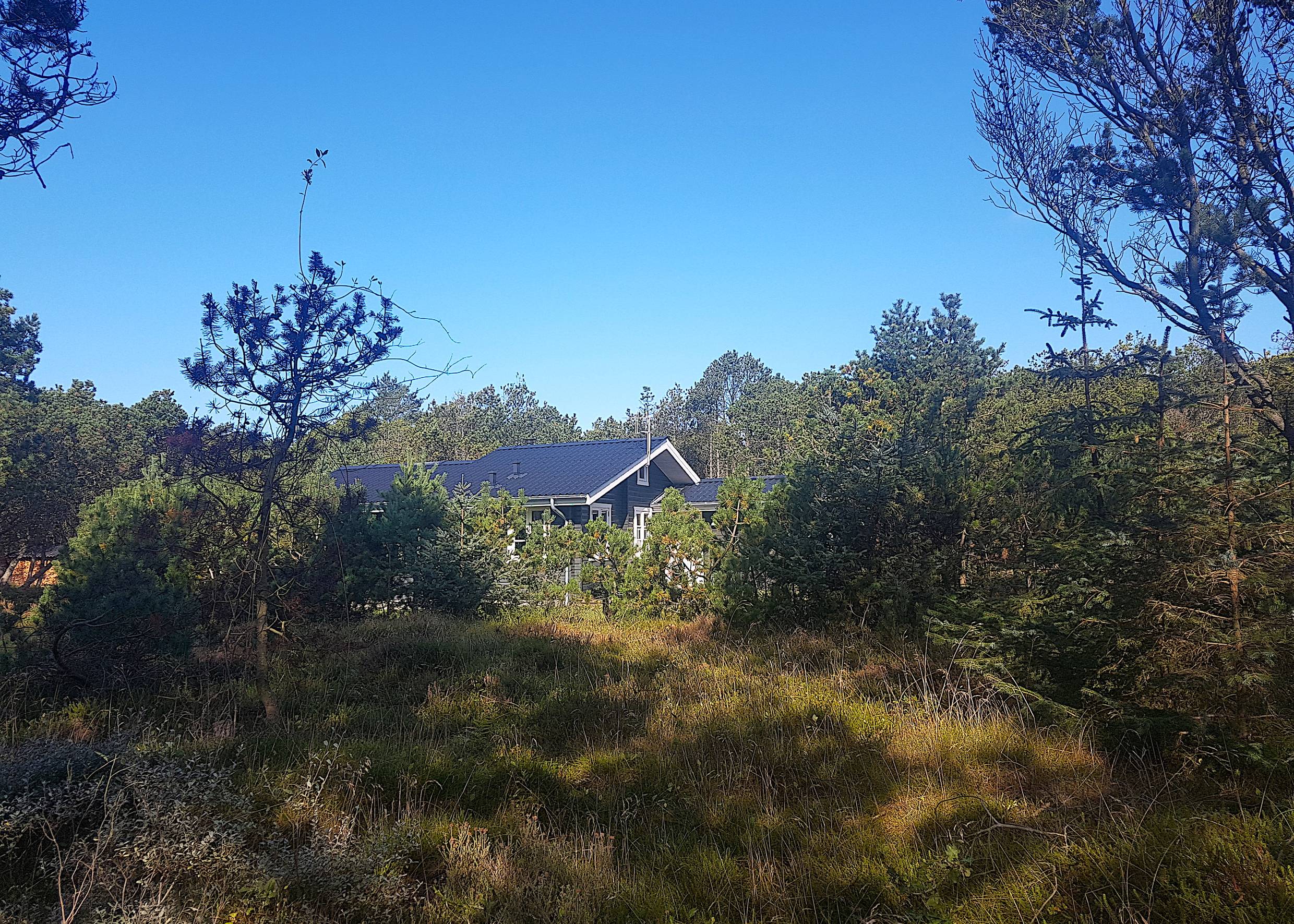 Ferienhaus in einerm Kiefernwäldchen