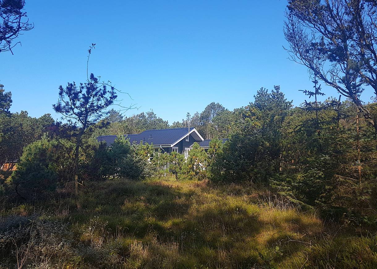Ferienhaus in einerm Kiefernwäldchen