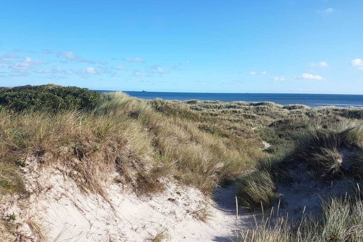 Foto von Napstjært Strand