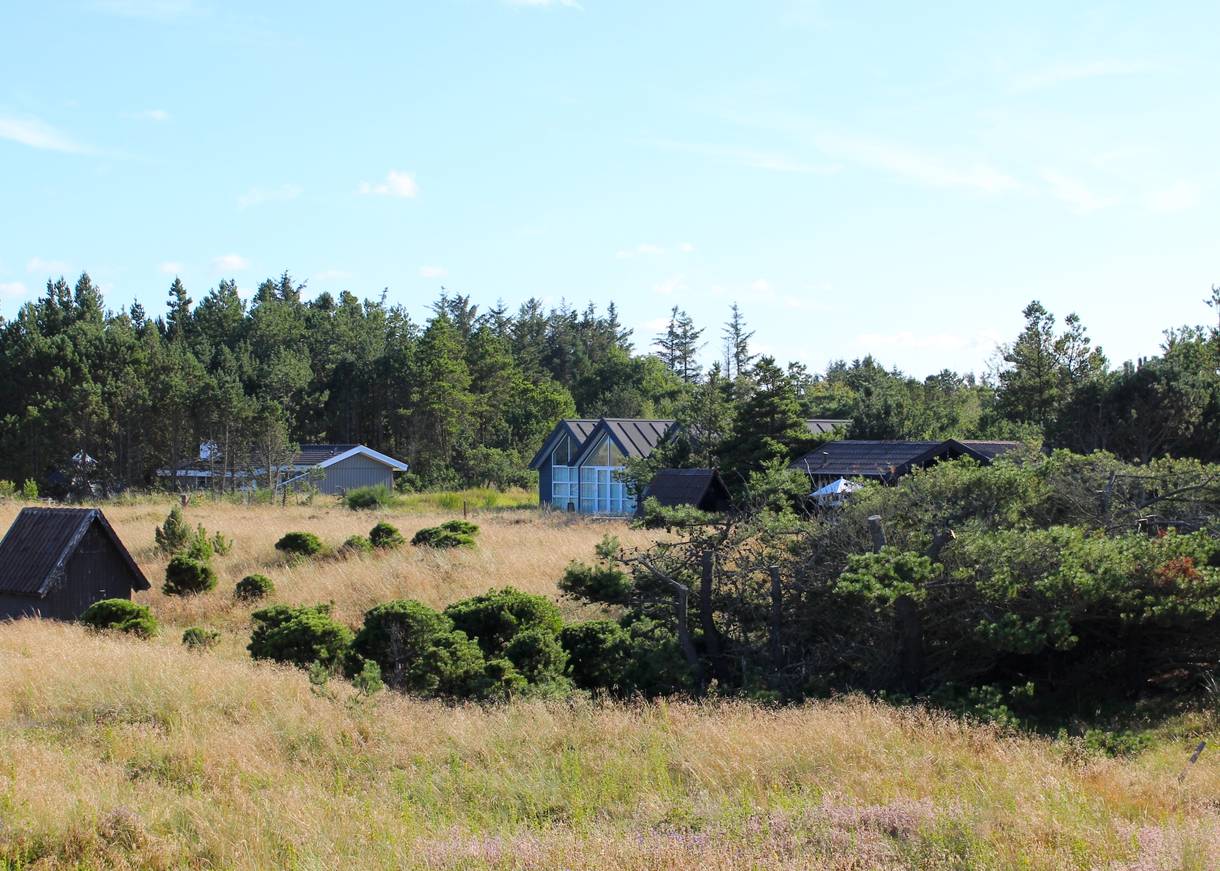 Verienzelte Ferienhäuser zwischen Heide und Kiefern