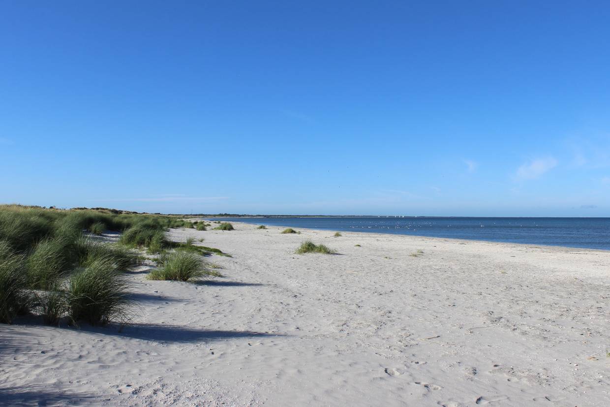 Foto von Napstjært Strand