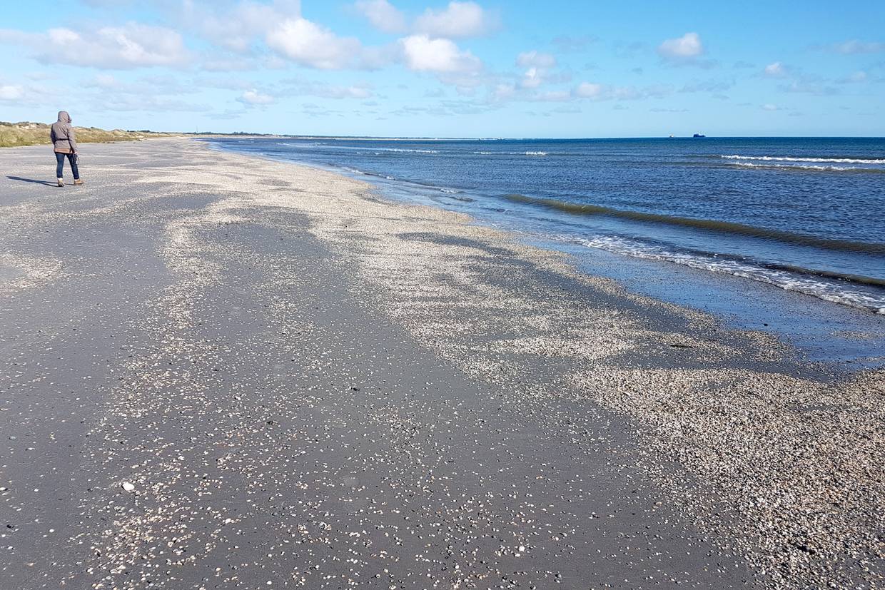 Foto von Napstjært Strand