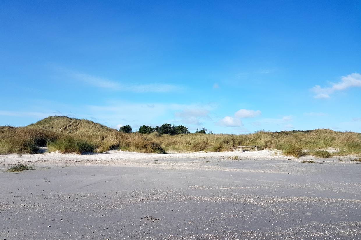Foto von Napstjært Strand