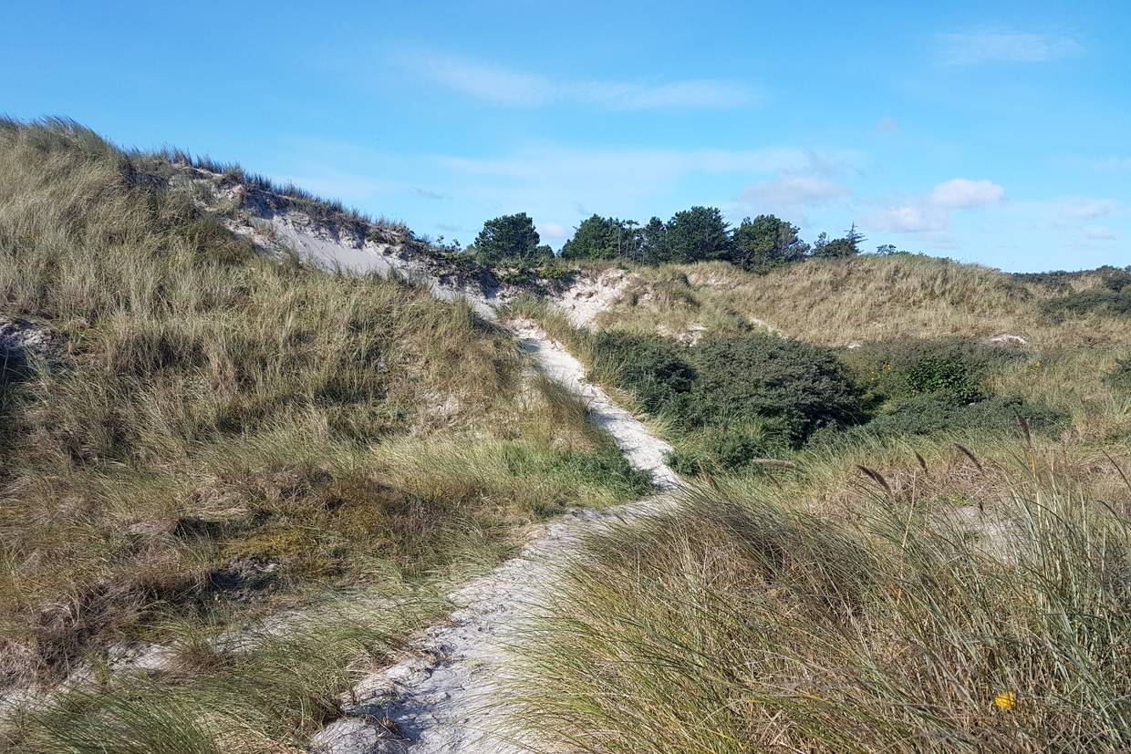 Foto von Napstjært Strand