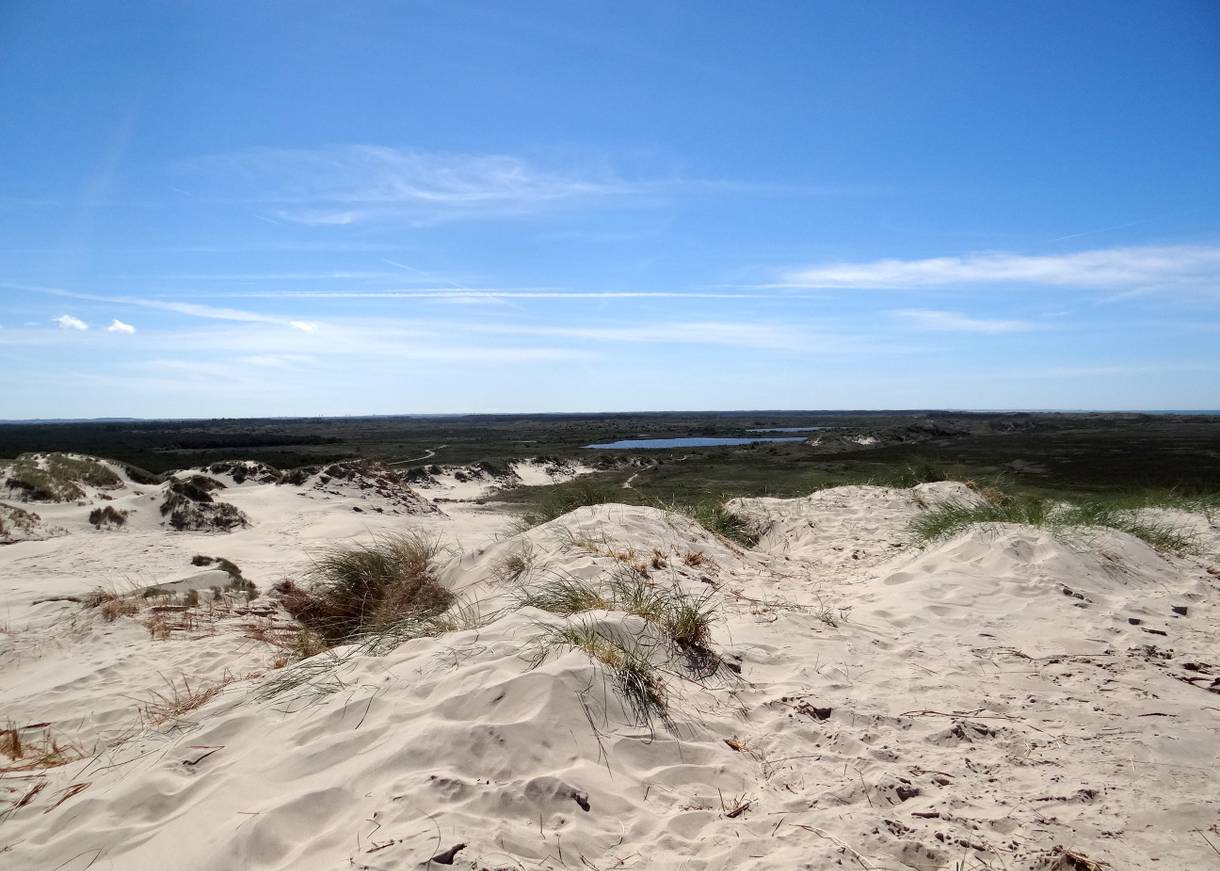 Ausblick von der Wanderdüne Råbjerg Mile