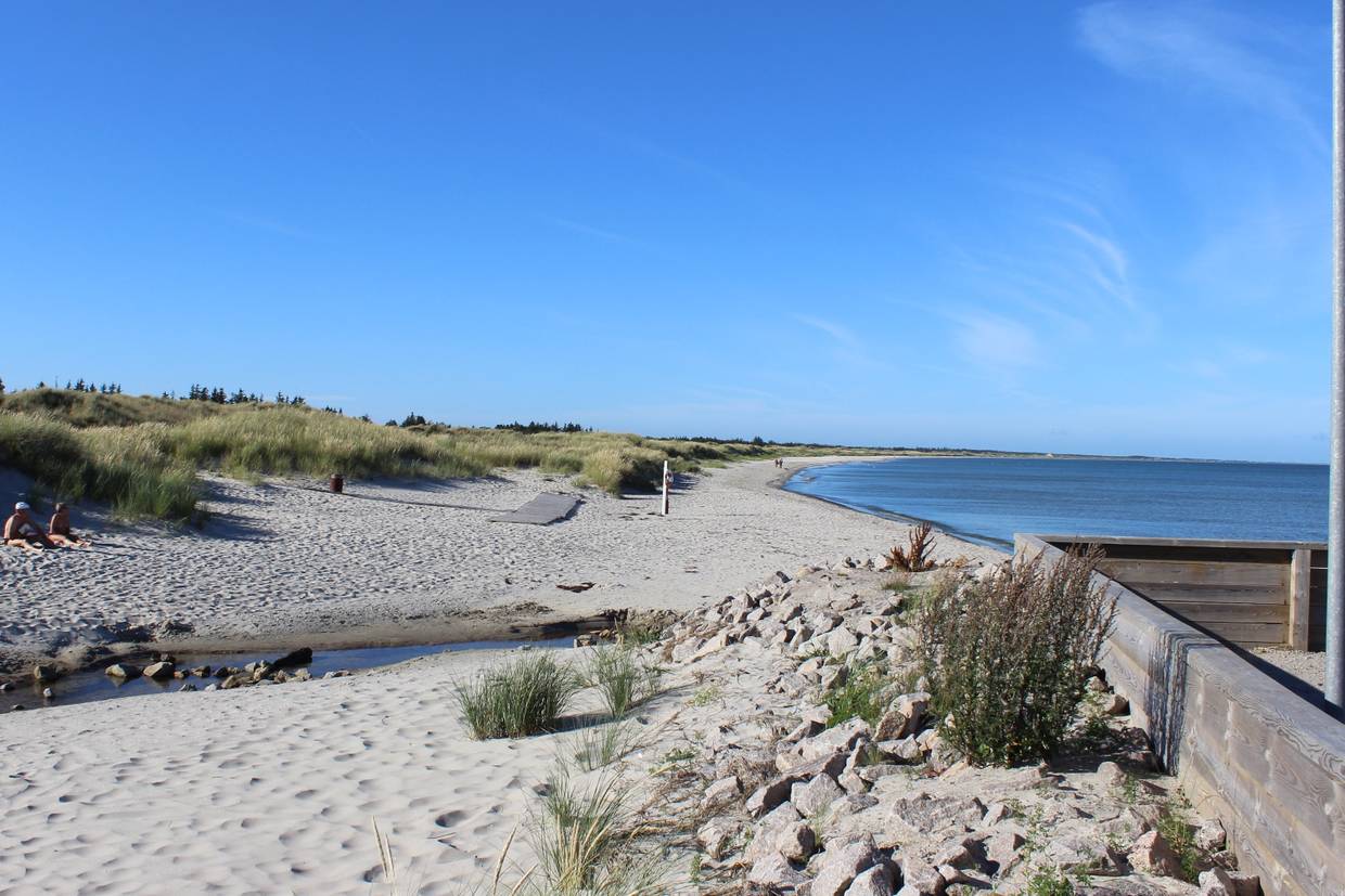 Foto von Ålbæk Strand