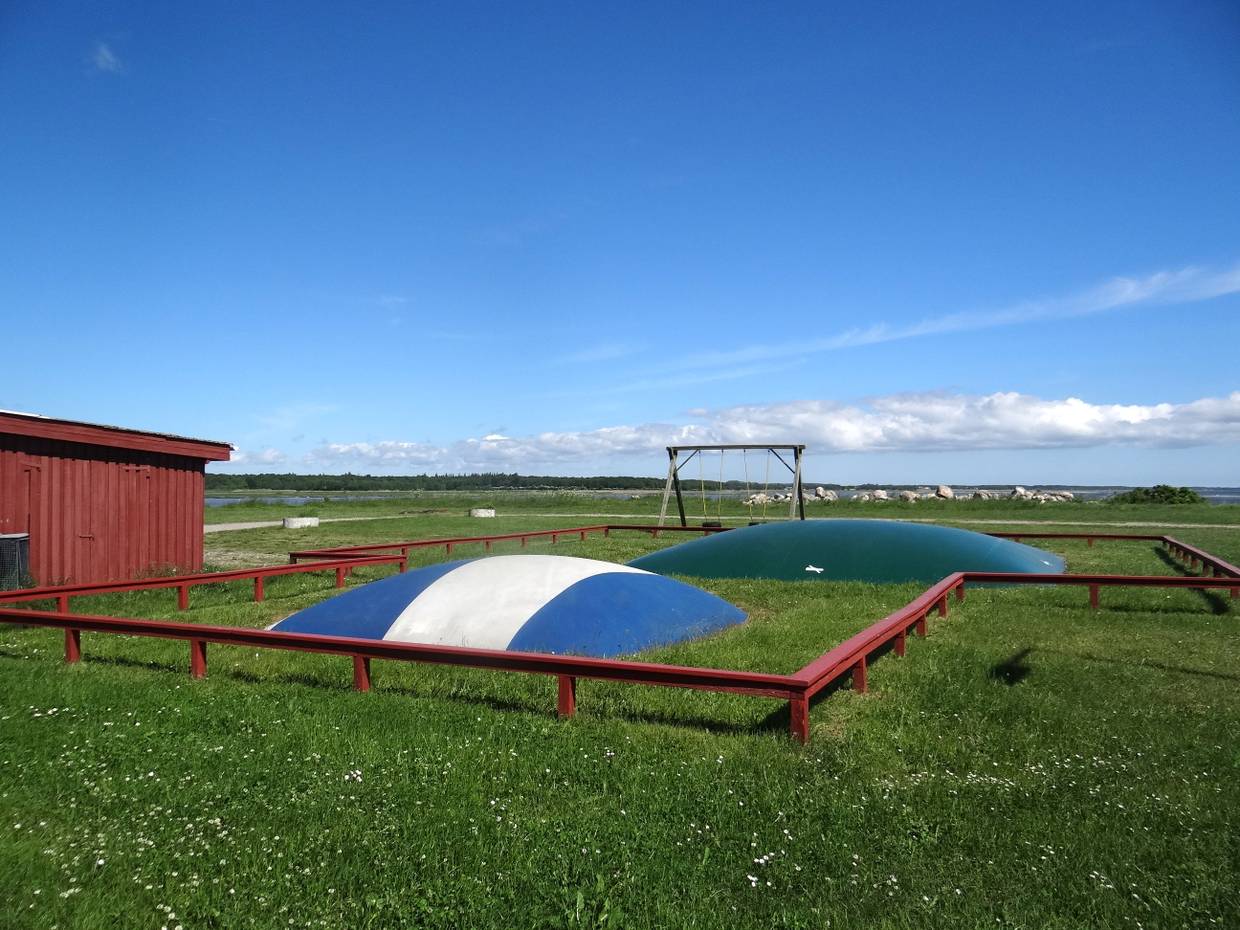 Hüpfkissen und Schaukeln auf einer Wiese