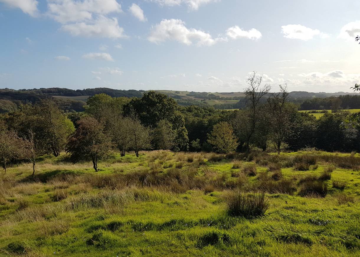 Aussicht über eine hügeligen Landschaft
