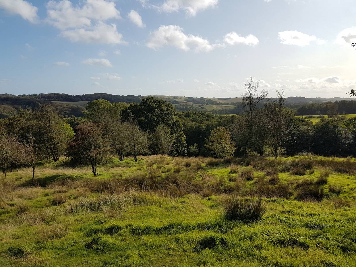 Aussicht über eine hügeligen Landschaft
