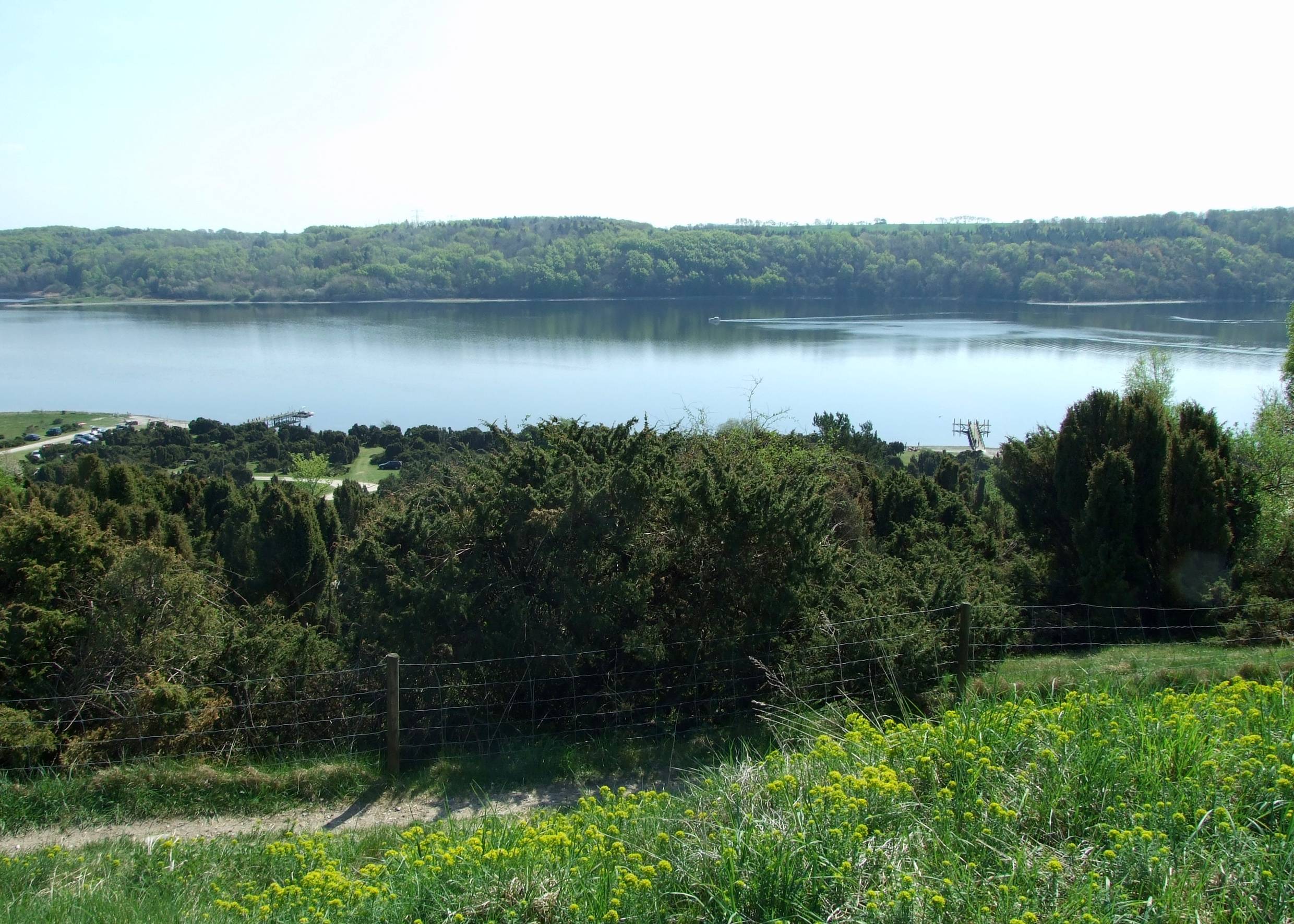 Aussicht von einer Anhöhe auf den Mariagerfjord zwischen bewaldeten Ufern