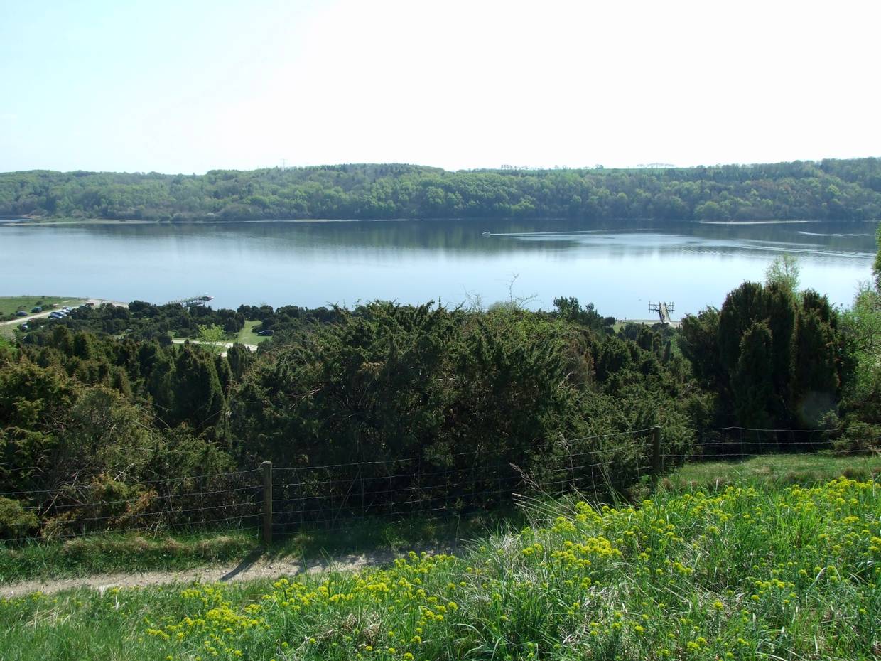 Aussicht von einer Anhöhe auf den Mariagerfjord zwischen bewaldeten Ufern
