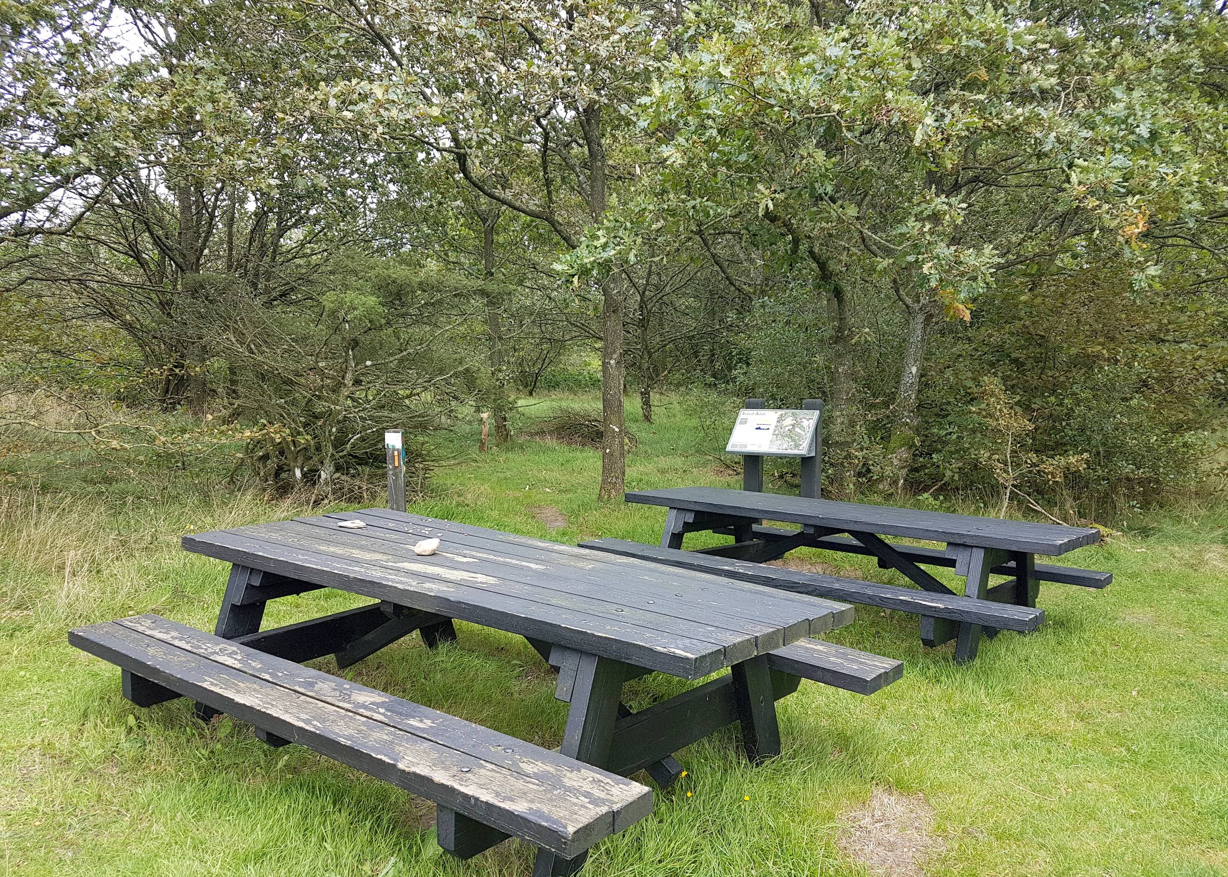 Picknickplatz mit zwei Tischen, dahinter ein Hinweisschild am Weg 